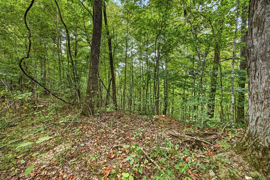 0 Timber Ridge Lane, Celina