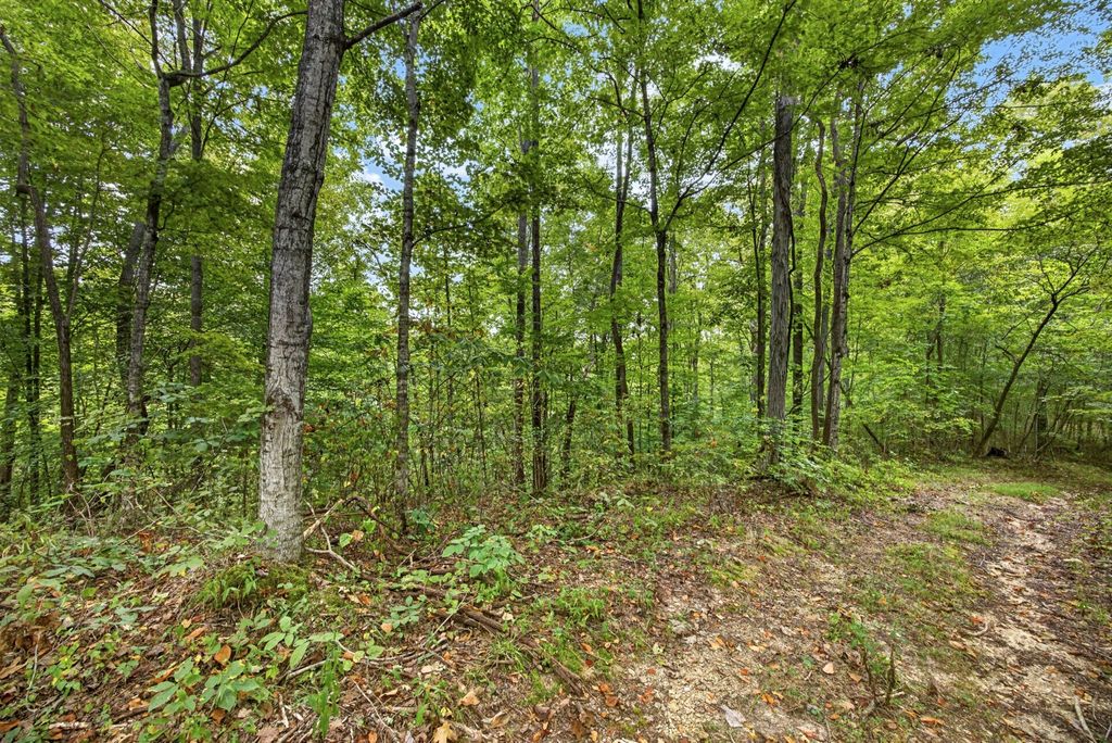 0 Timber Ridge Lane, Celina