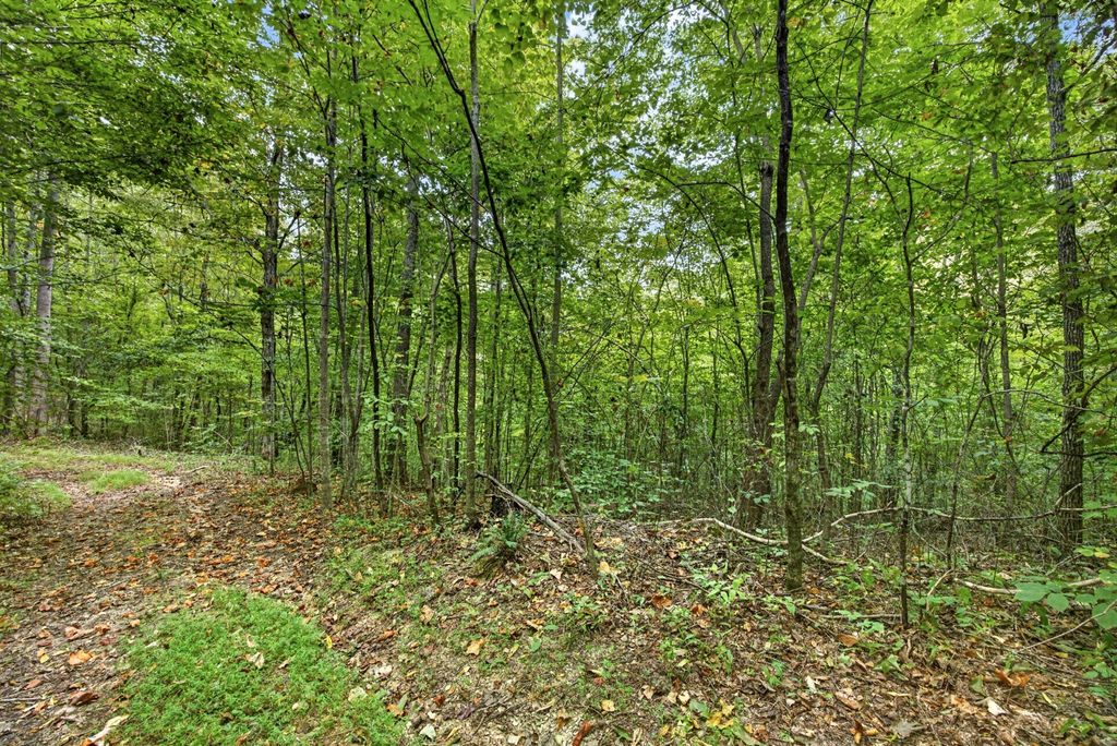 0 Timber Ridge Lane, Celina