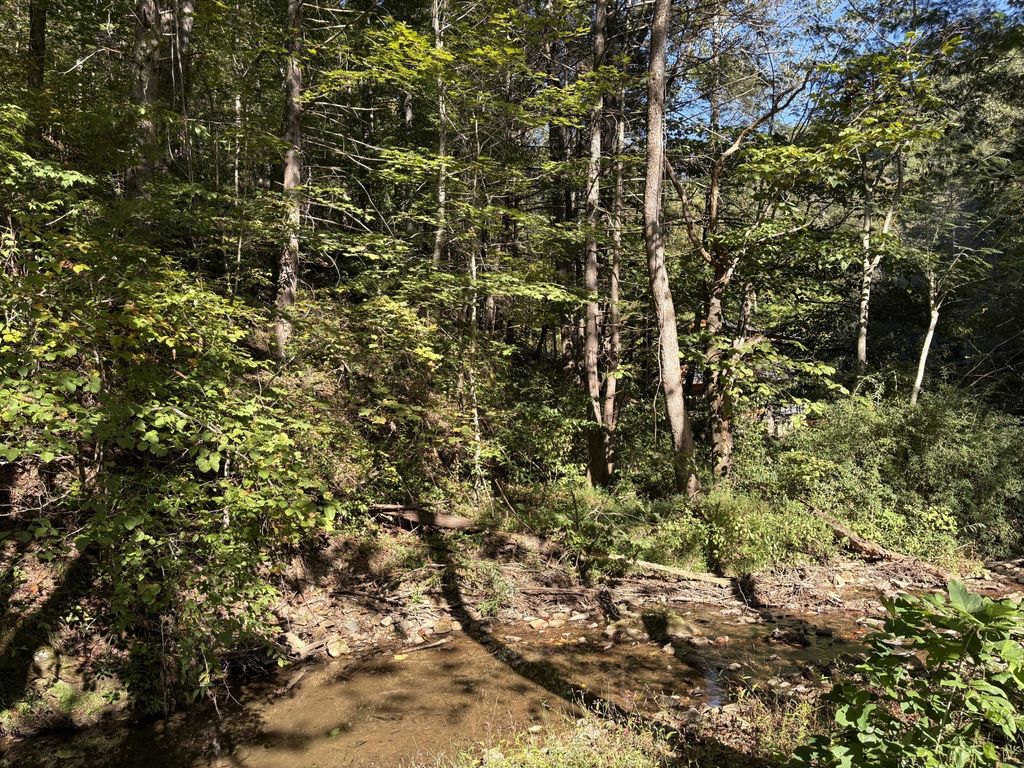 0 N Clearfork Rd, Sevierville