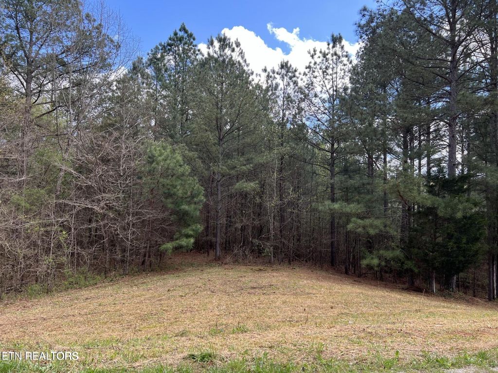 1727 Grand Pine Point, Maryville