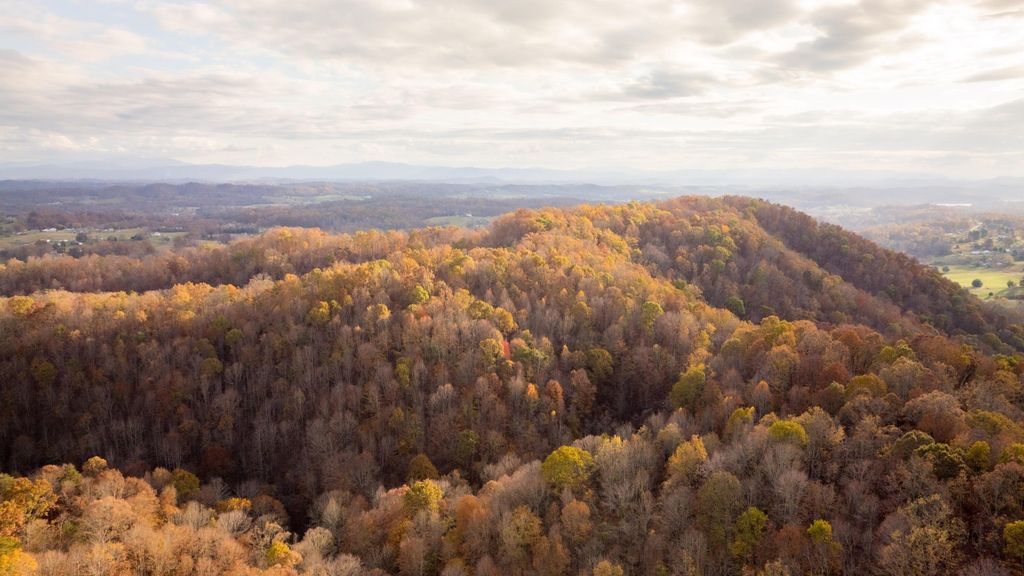 544 Ethel Beard Road, Blountville