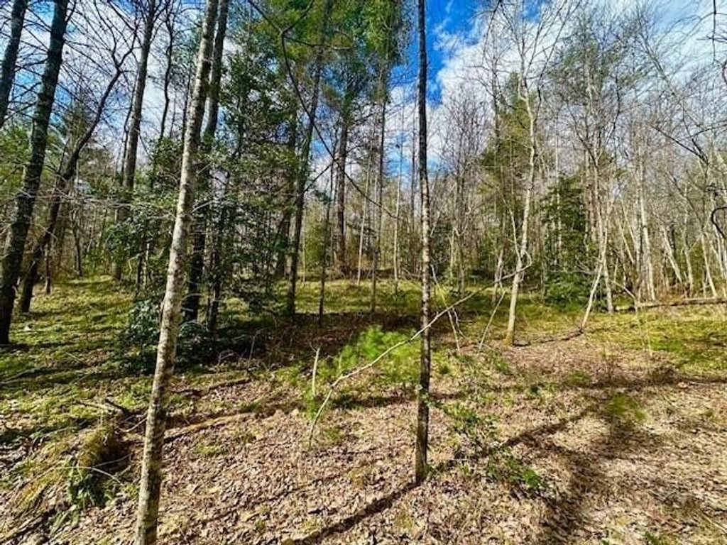 144 Gunter Place Rd, Sunbright
