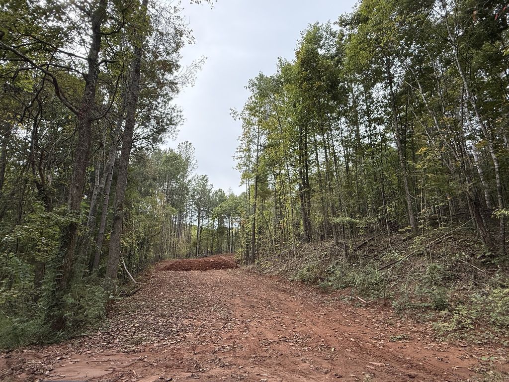 0 County Road 956, Calhoun