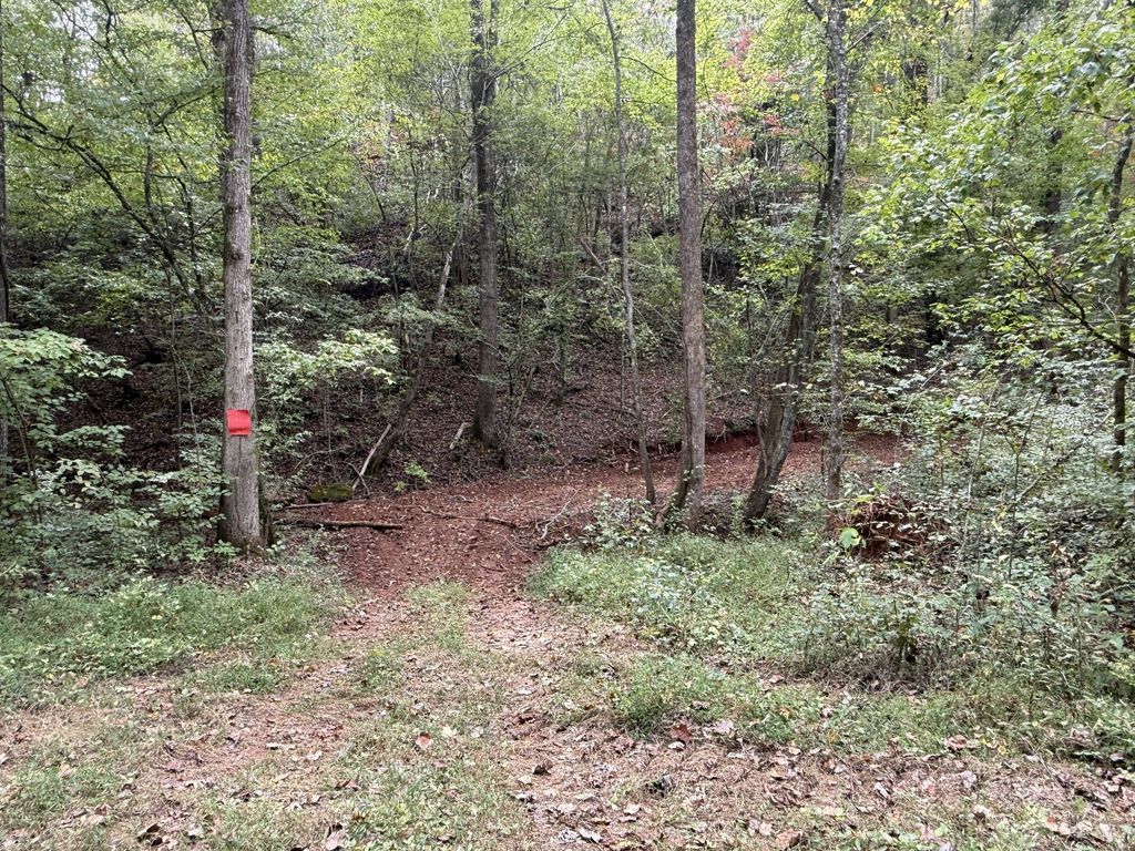 0 County Road 956, Calhoun