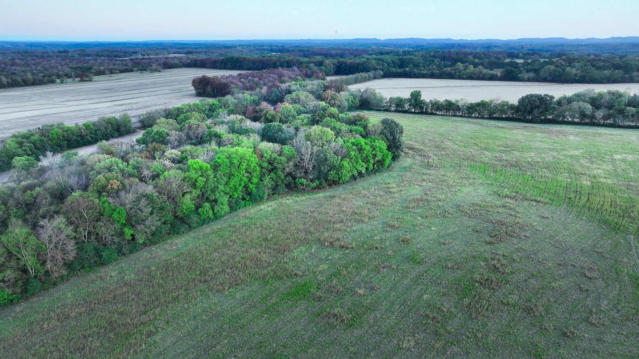 3 Haskins Chapel Rd Lewisburg TN - MLS #3626221