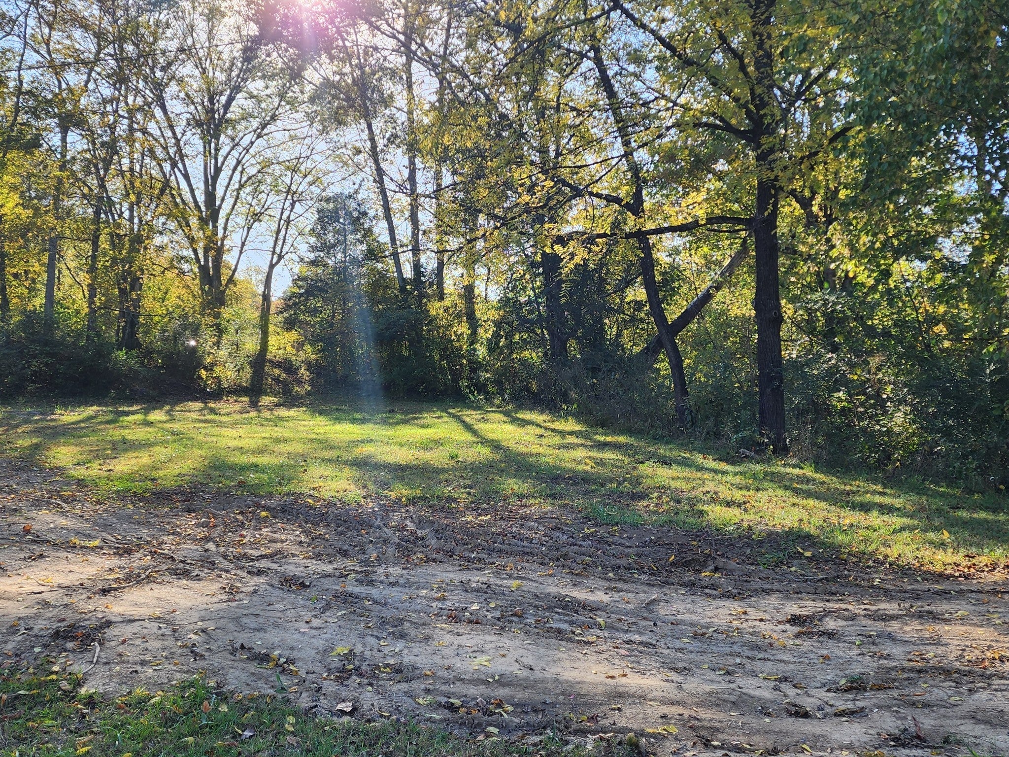 281 Mcmillian St Erin TN MLS 2585202