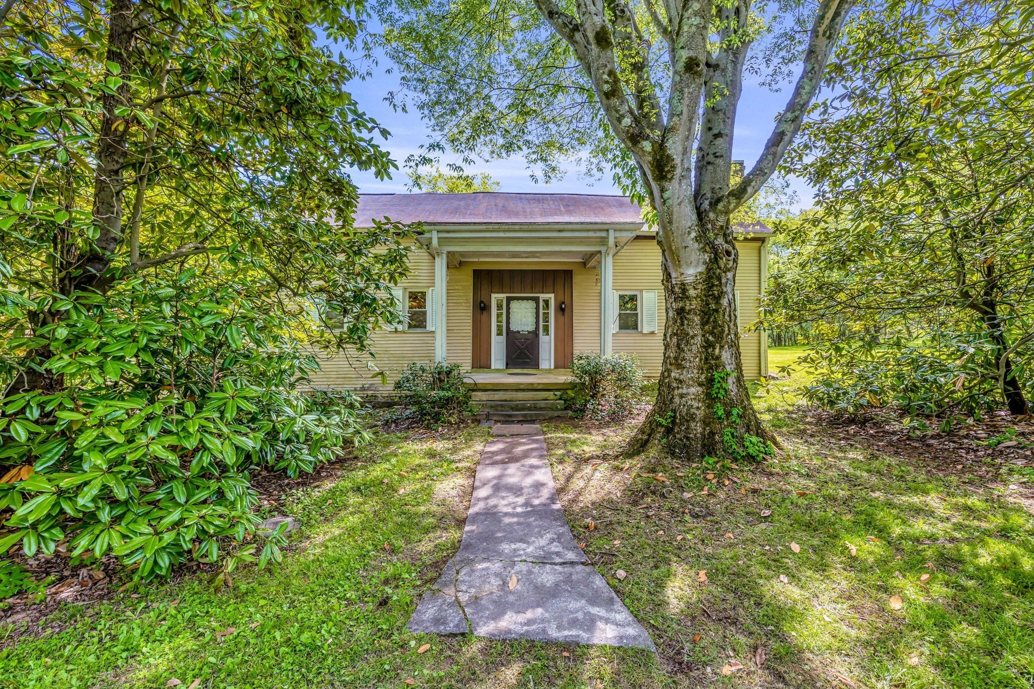 Photo of Listing #2649228