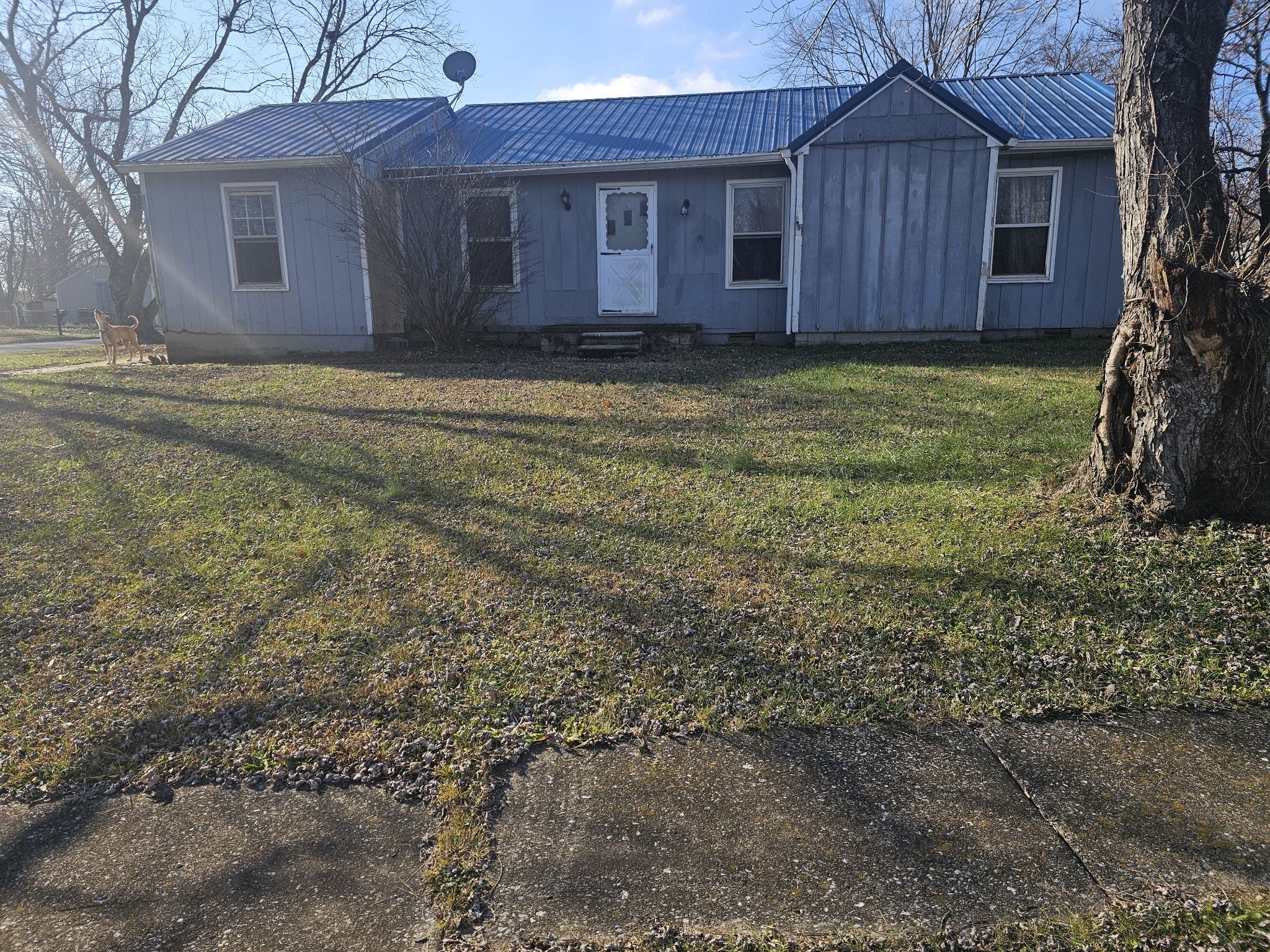 Photo of Listing #2768212