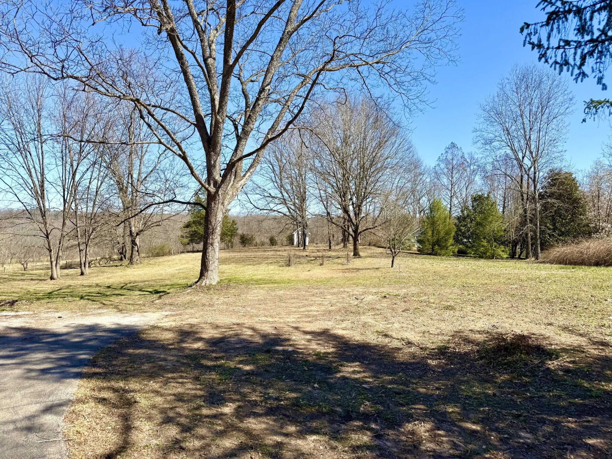 Photo of Listing #2803065