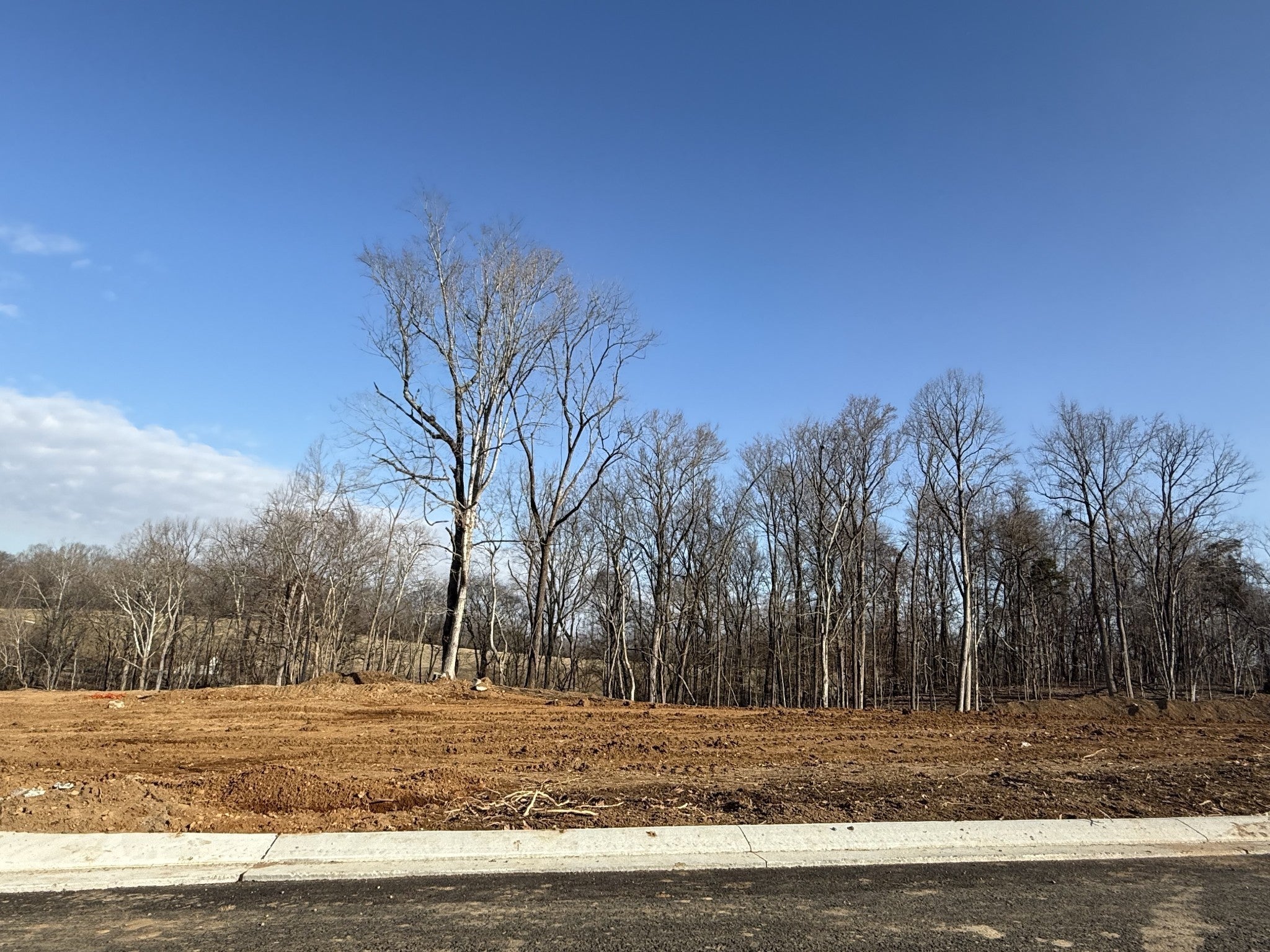 Photo of Listing #2809614