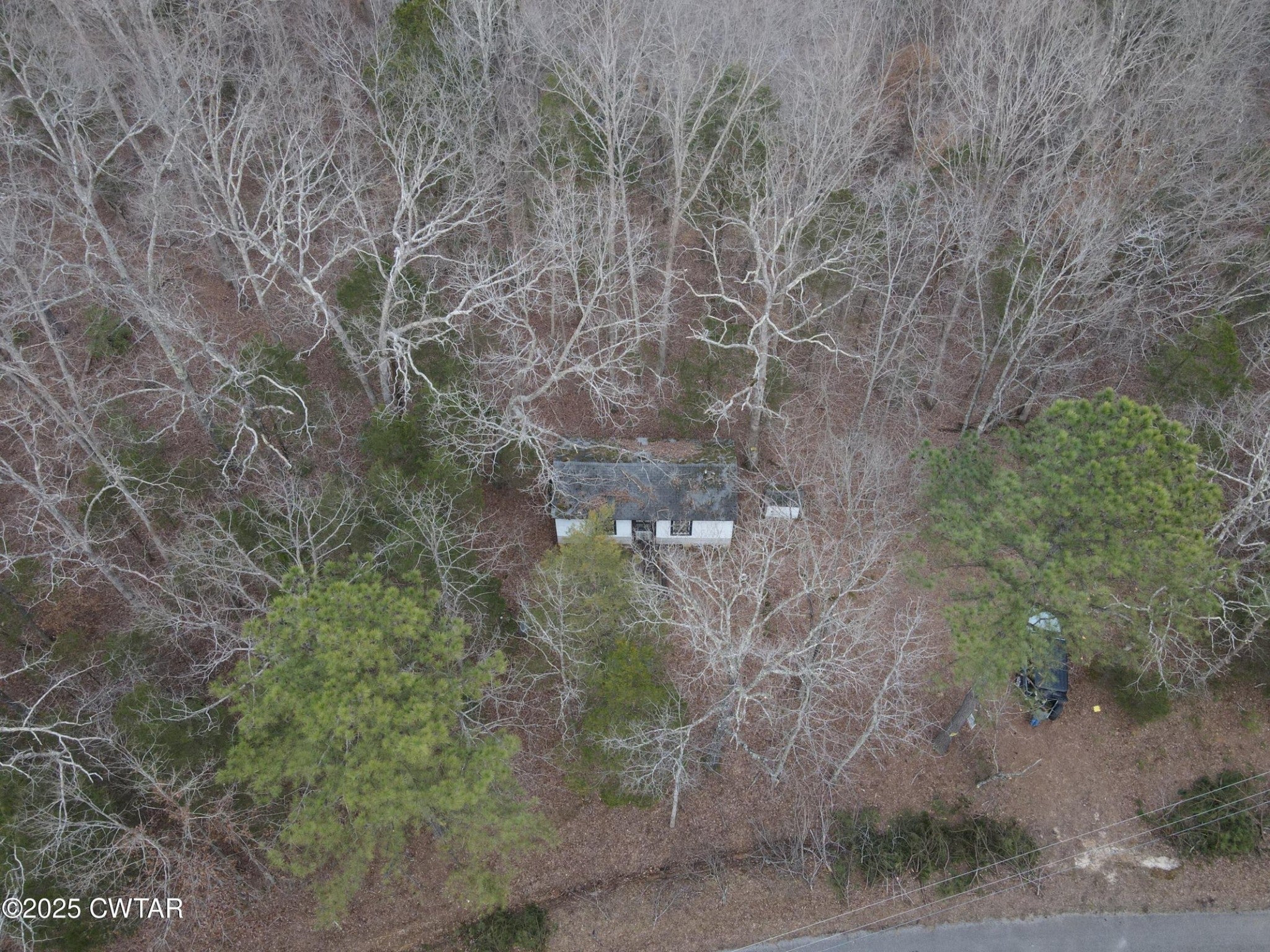 Photo of Listing #2812293