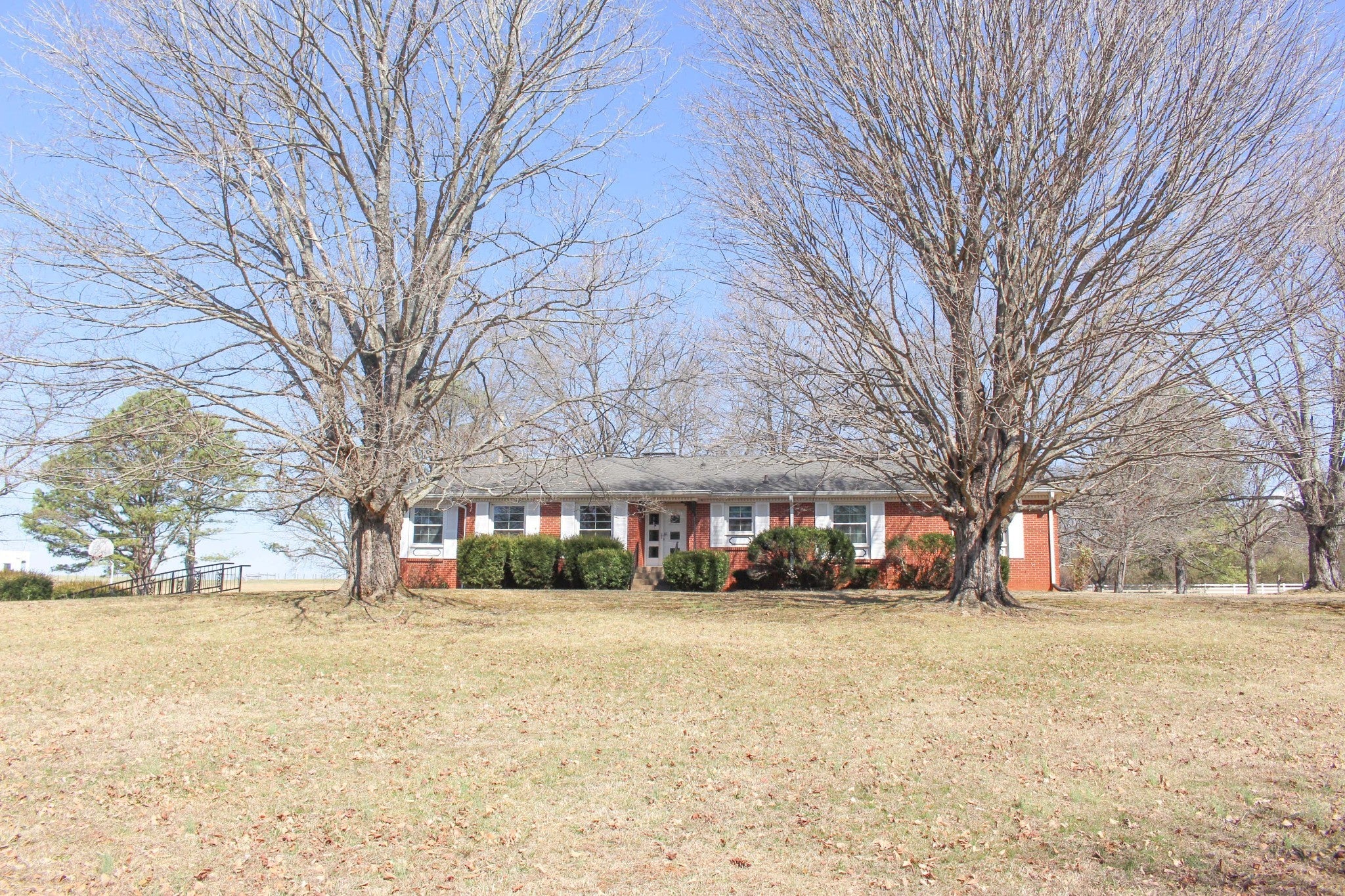 Photo of Listing #2818914