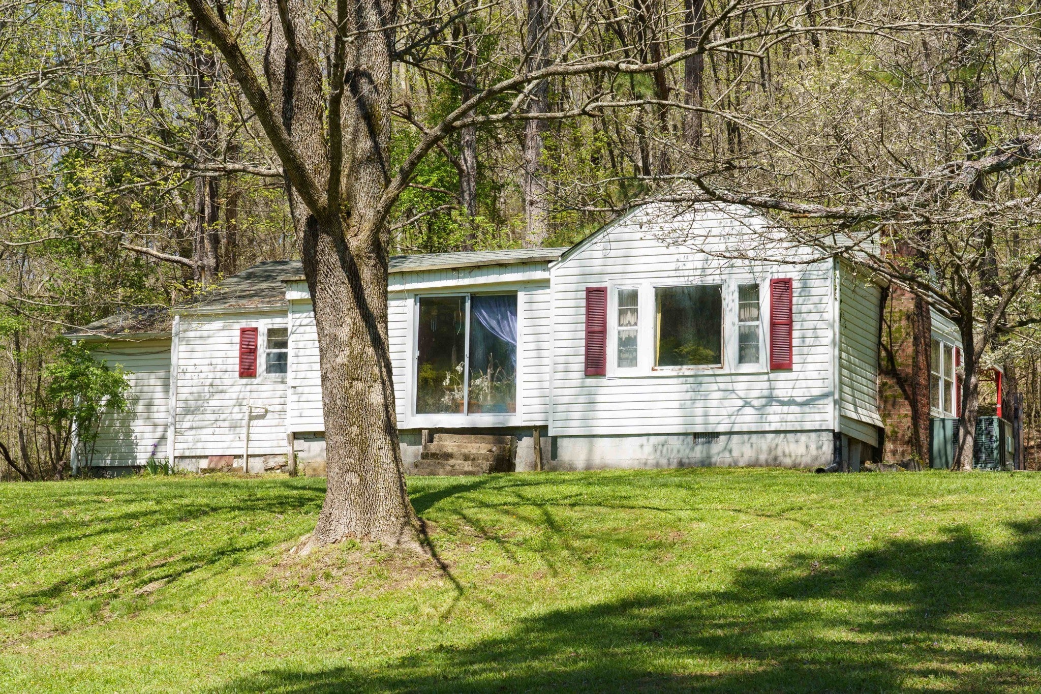 Photo of Listing #2819849