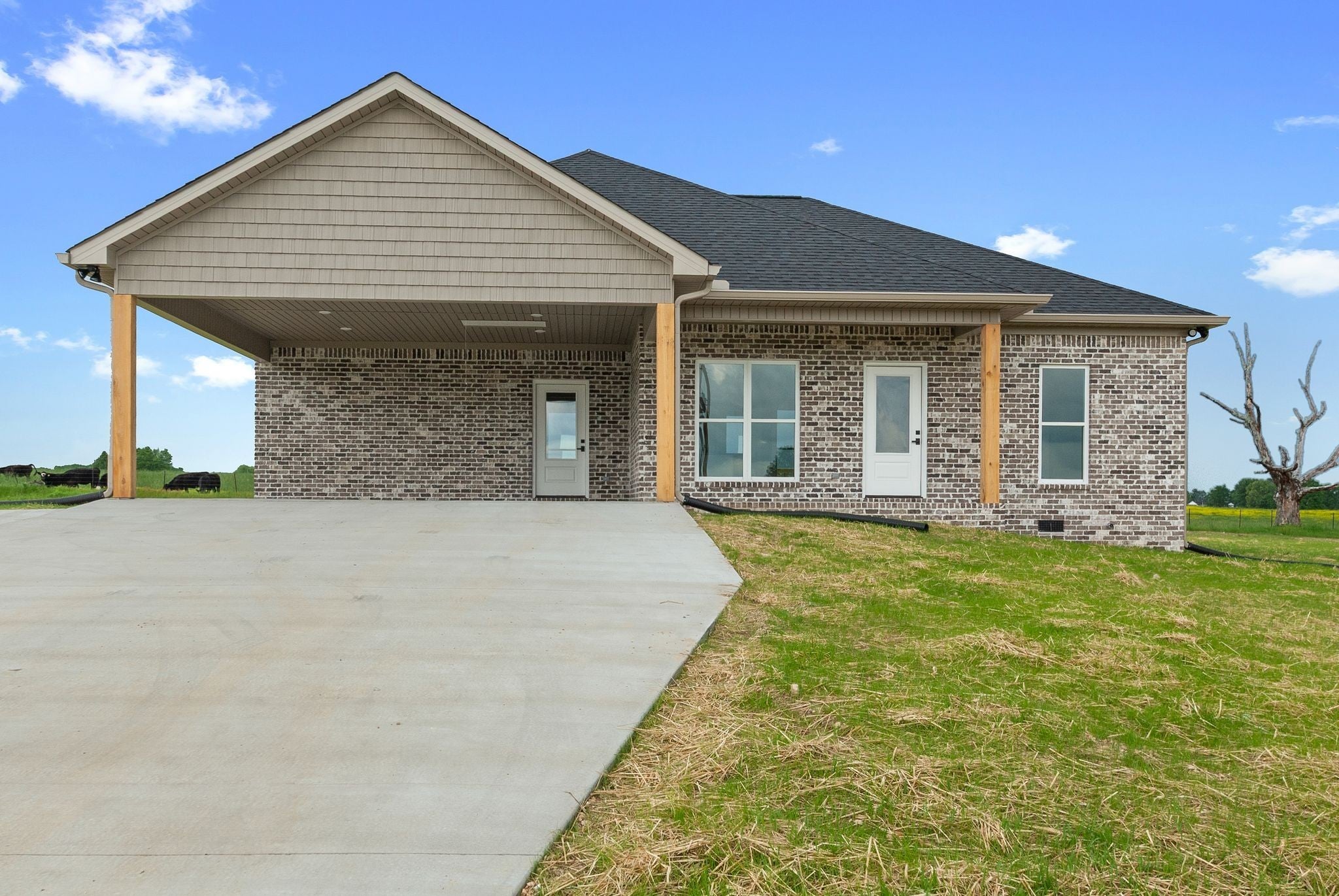 Photo of Listing #2867296