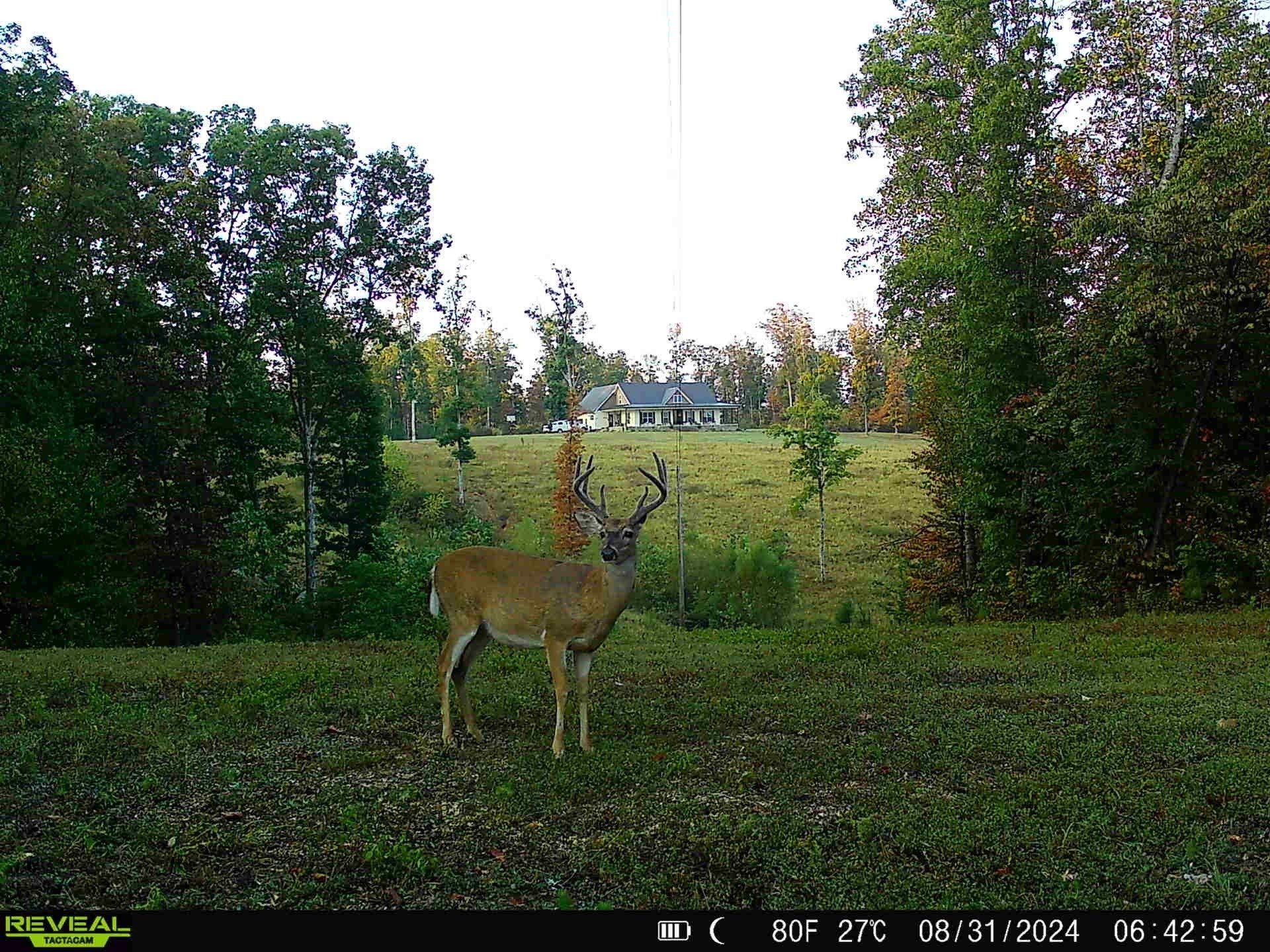 Photo of Listing #2883738