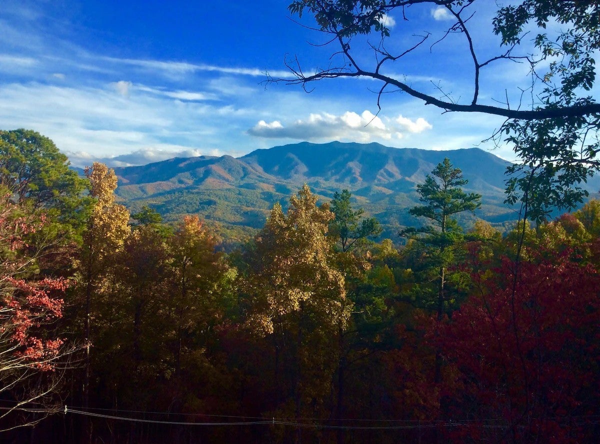 Photo of Listing #2898241