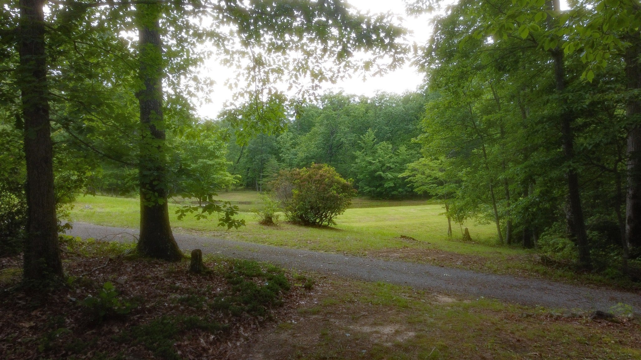 Photo of Listing #2899839