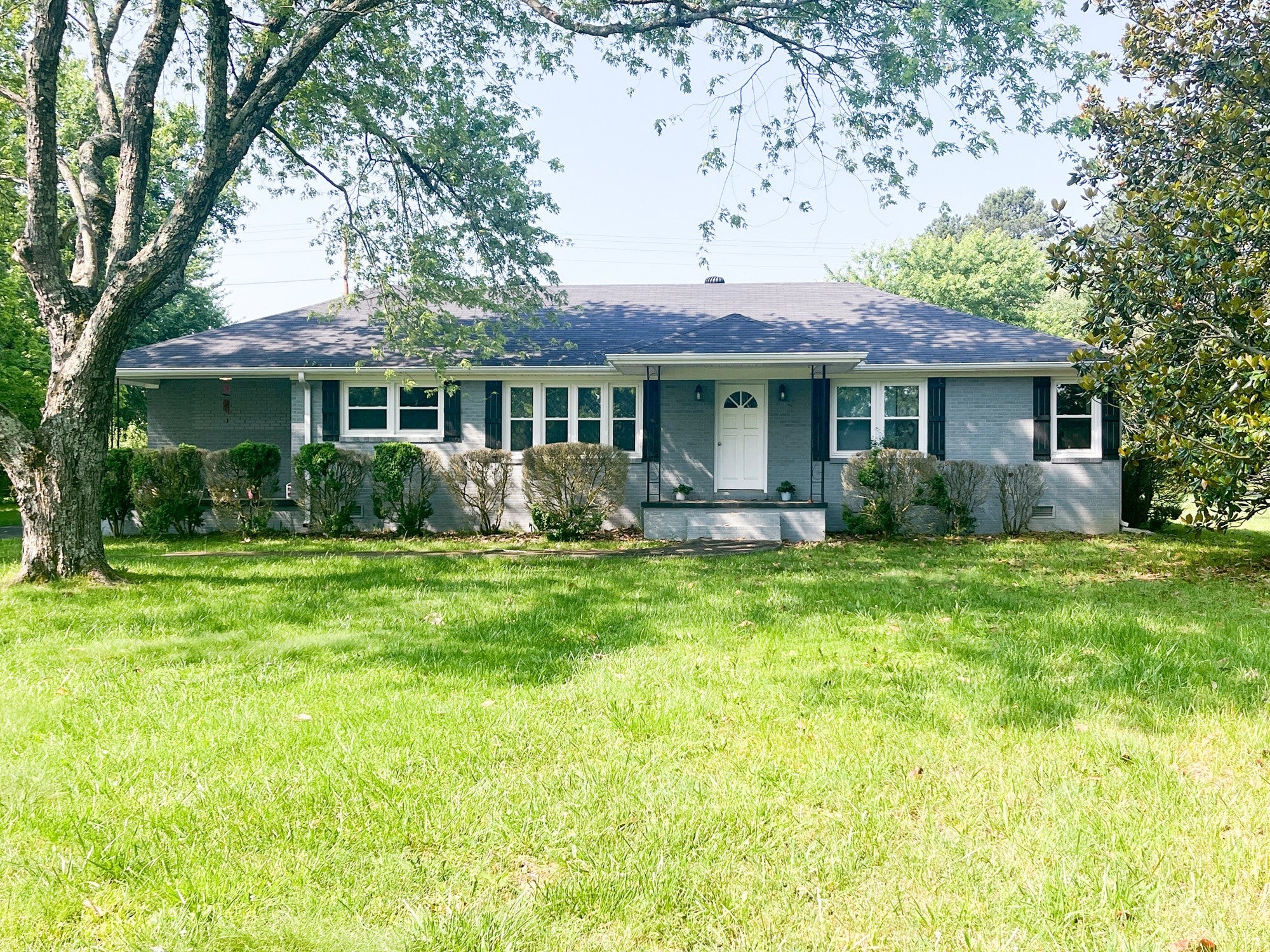 Photo of Listing #2900853