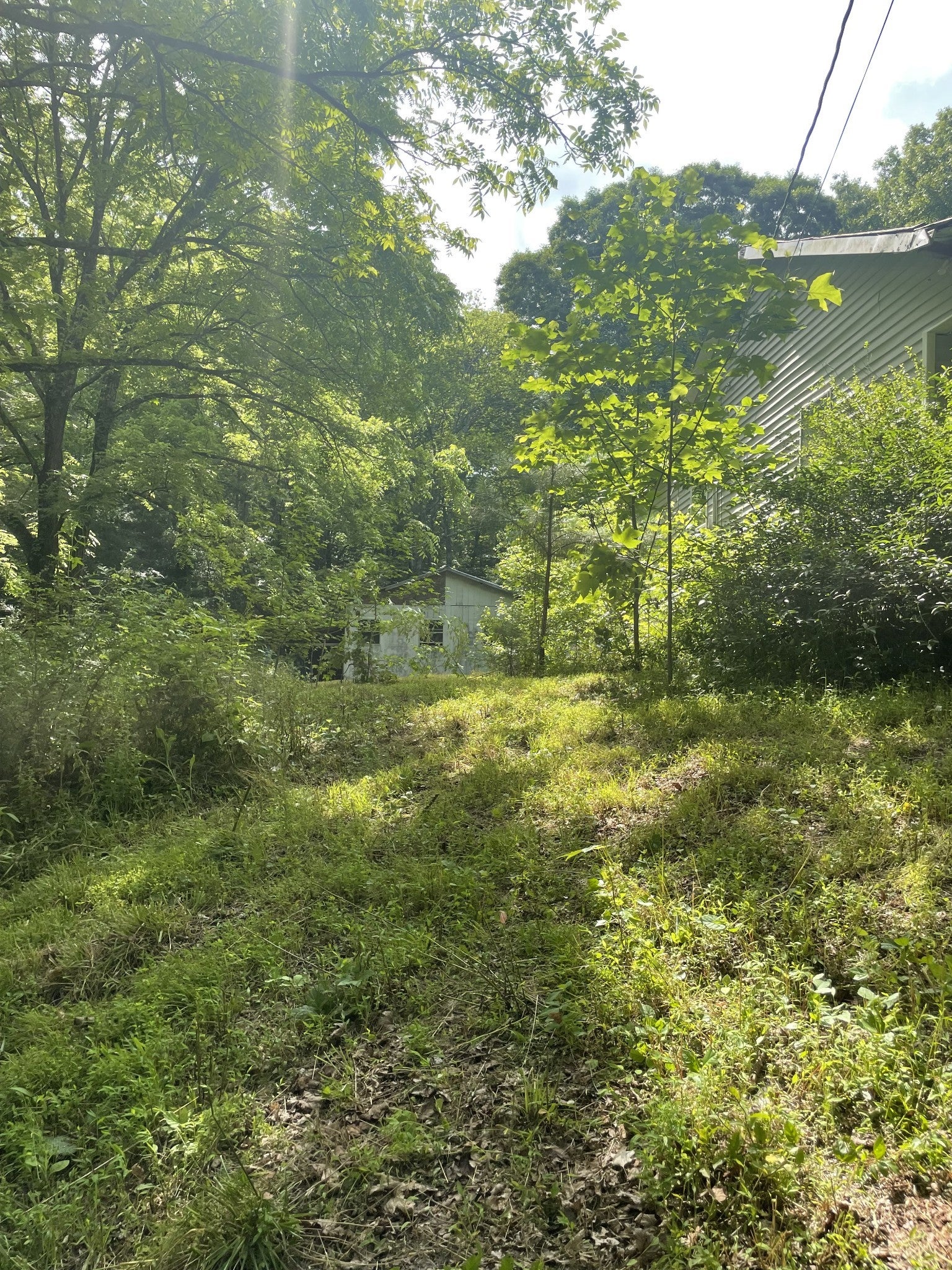 Photo of Listing #2905414