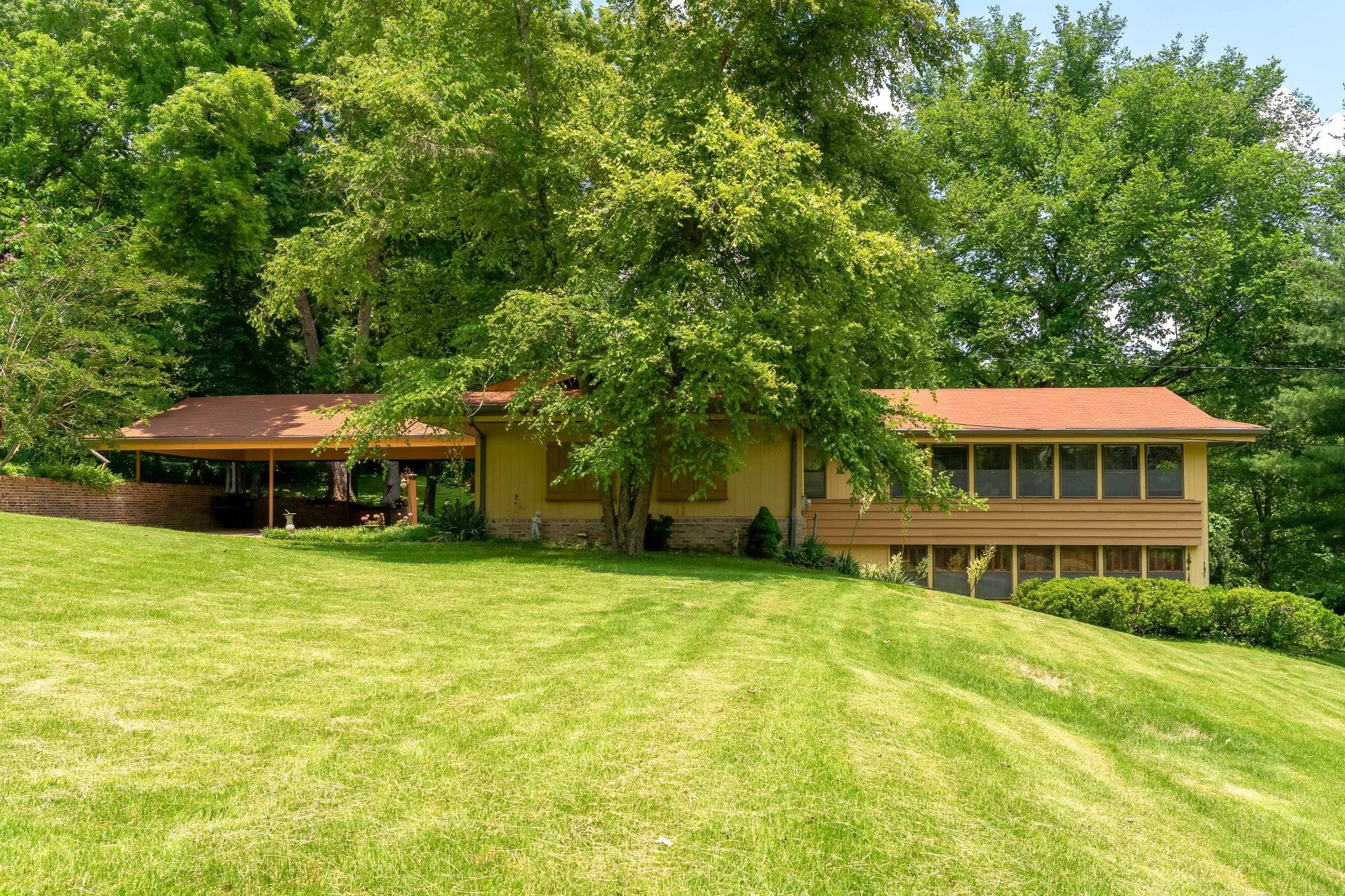 Photo of Listing #2905475