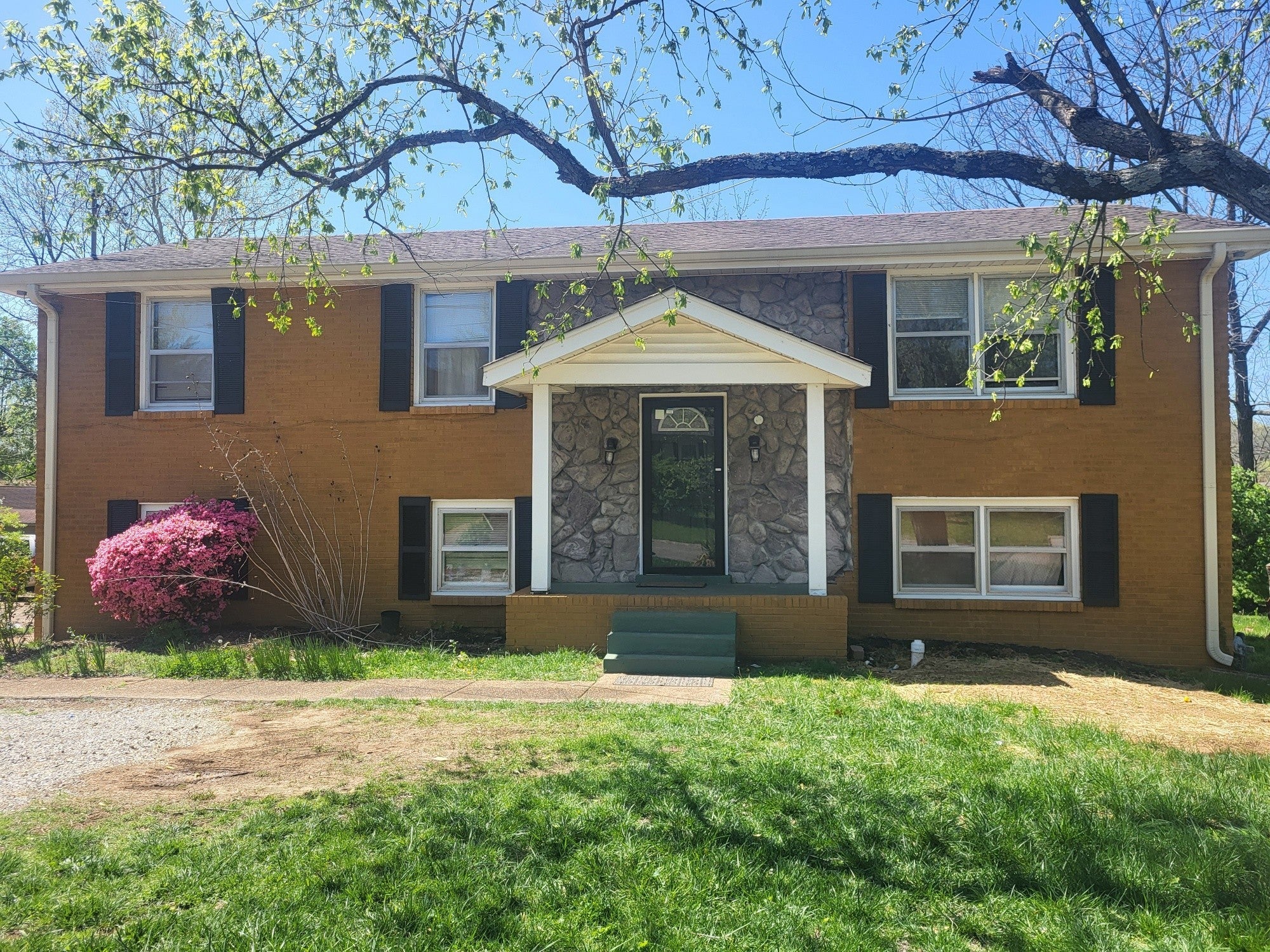 Photo of Listing #2906455