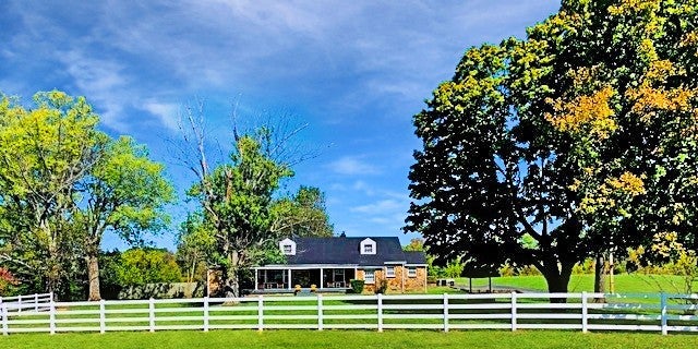 Photo of Listing #2906975