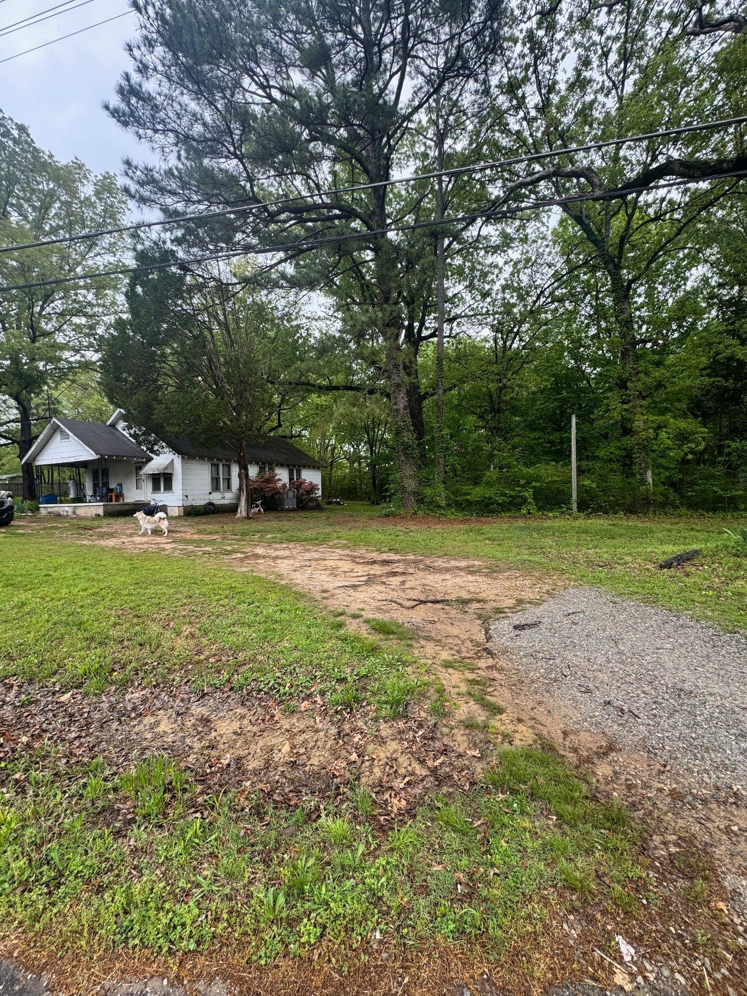 Photo of Listing #2907226