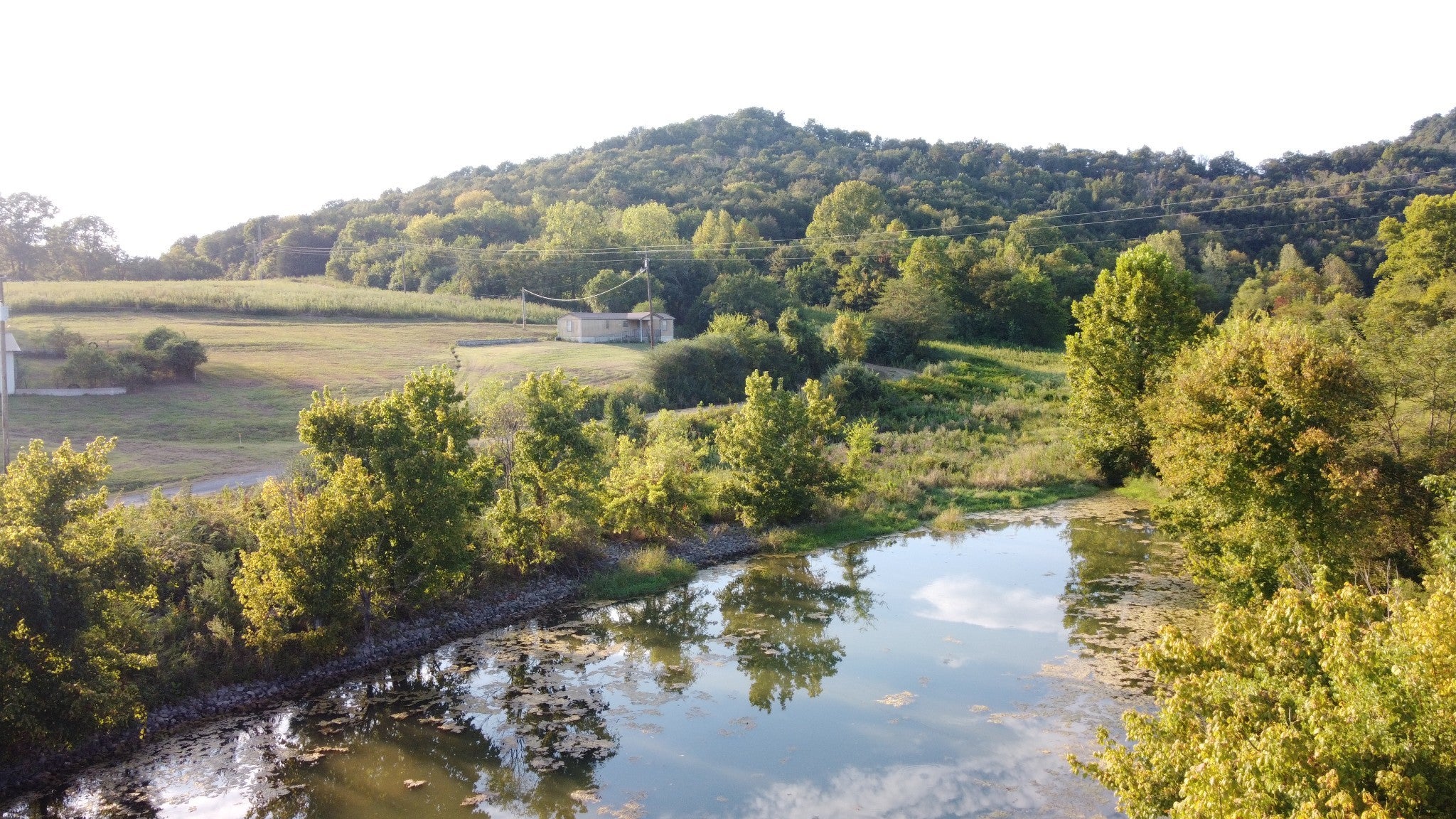 Photo of Listing #2912278