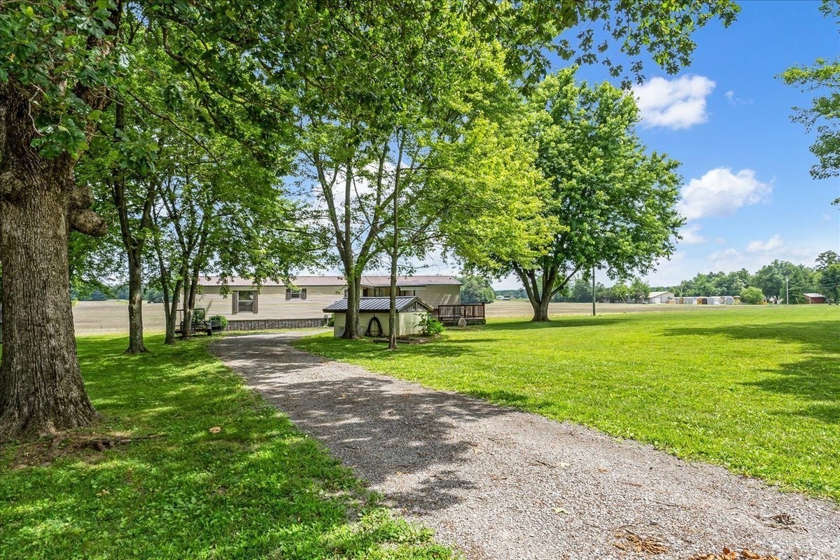 Photo of Listing #2918299