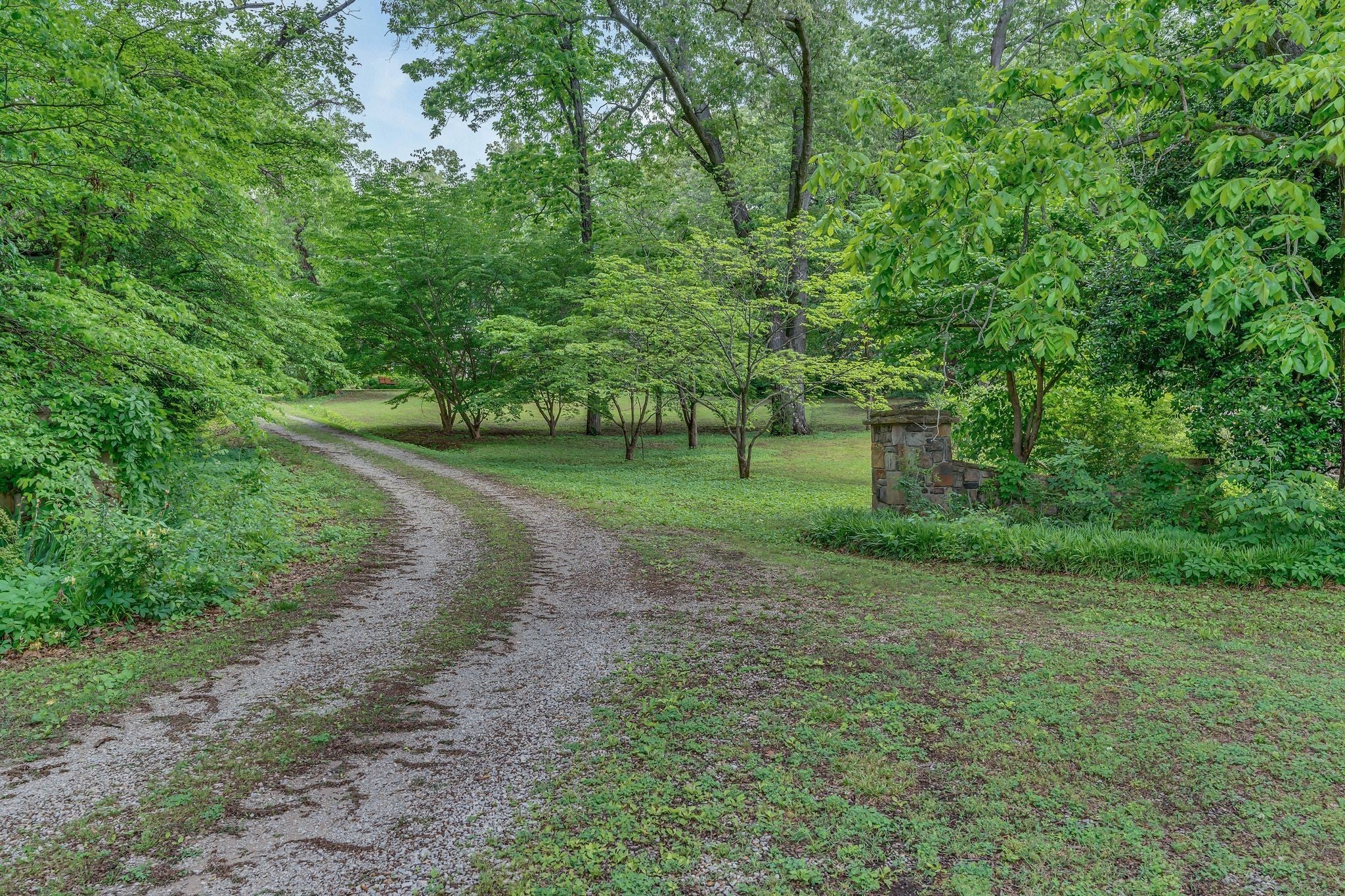 Photo of Listing #2920631
