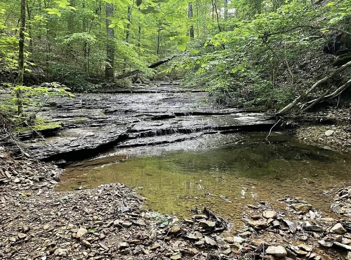 Photo of Listing #2921000