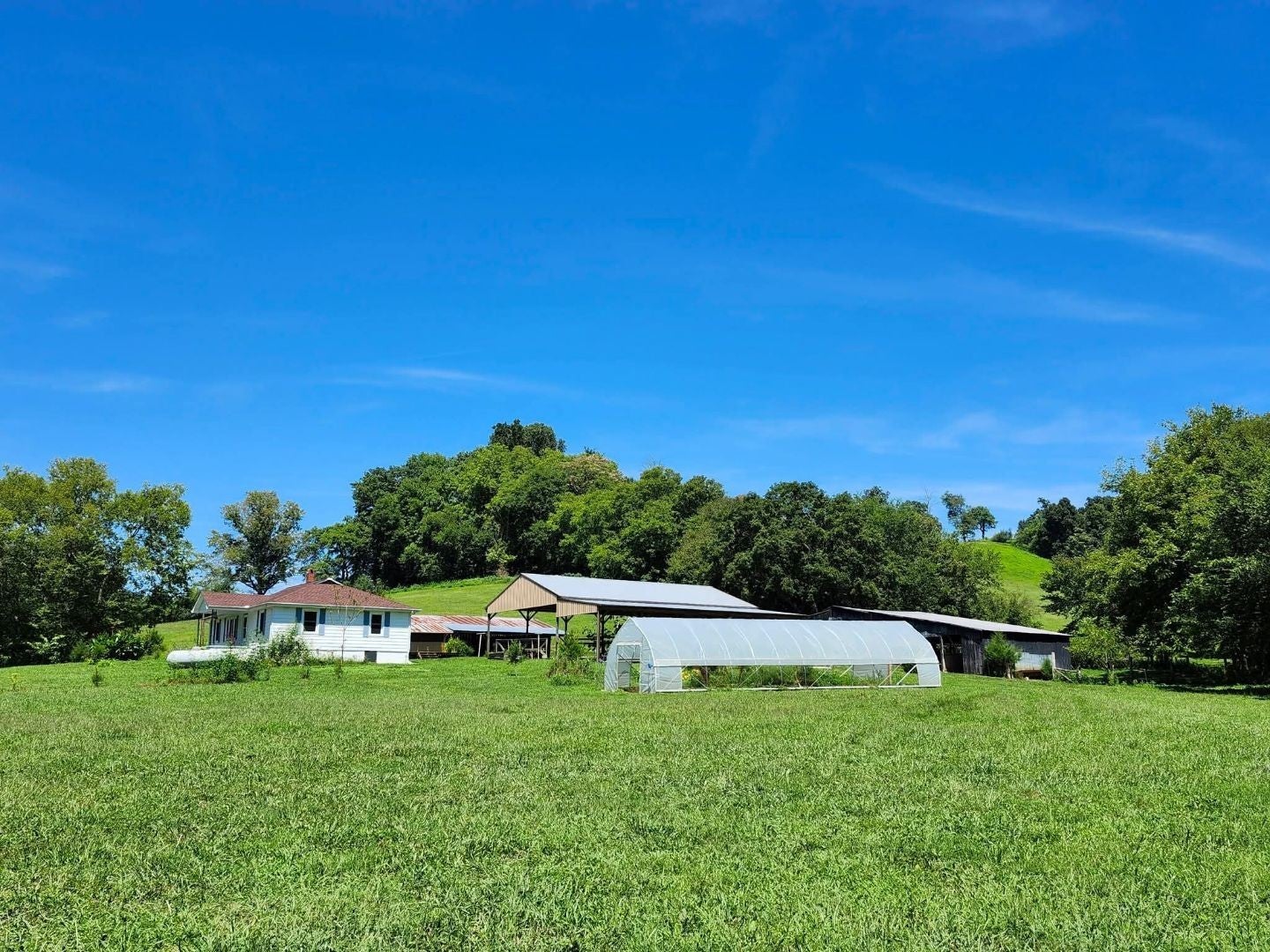 Photo of Listing #2925684