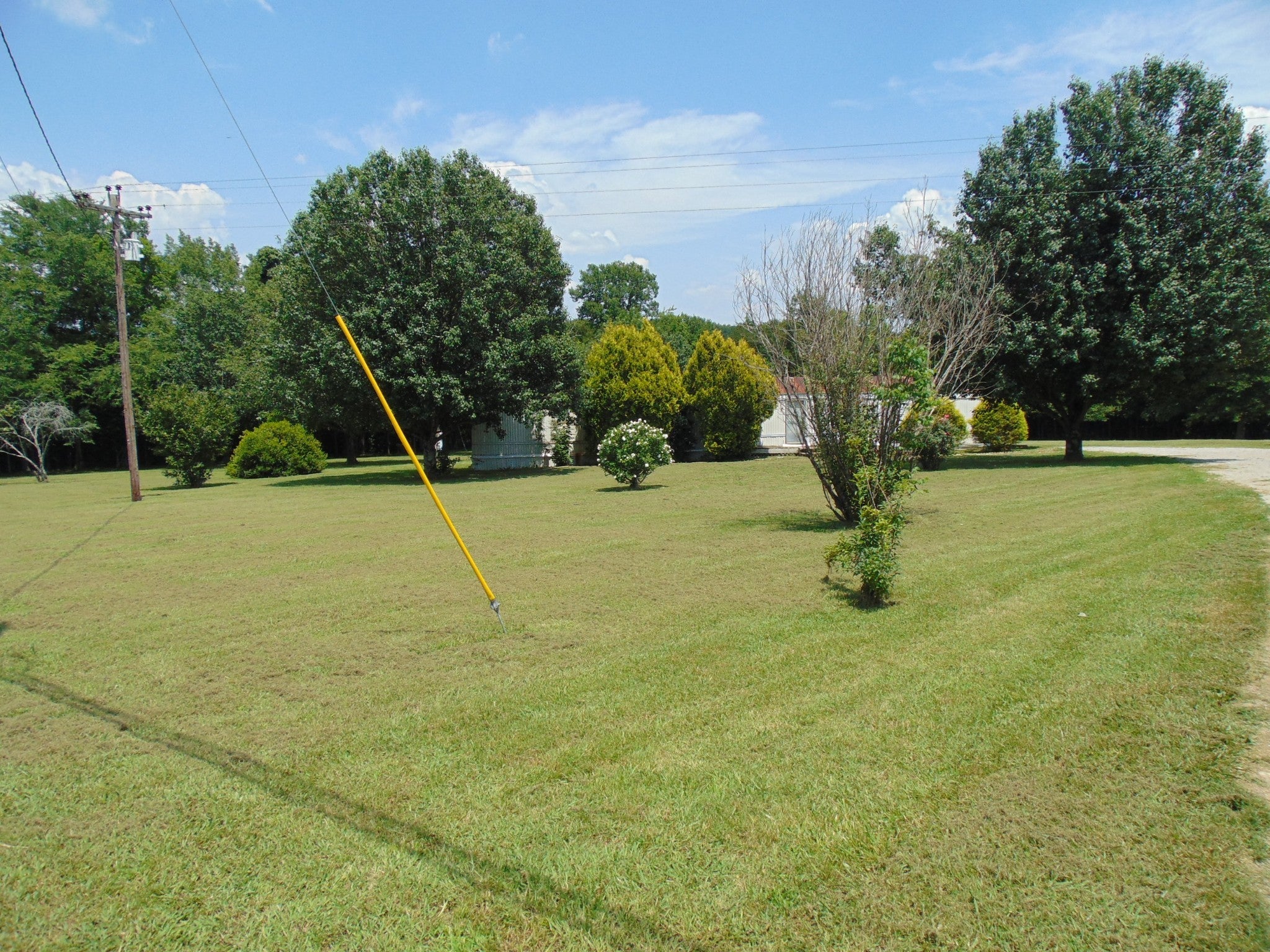 Photo of Listing #2929717