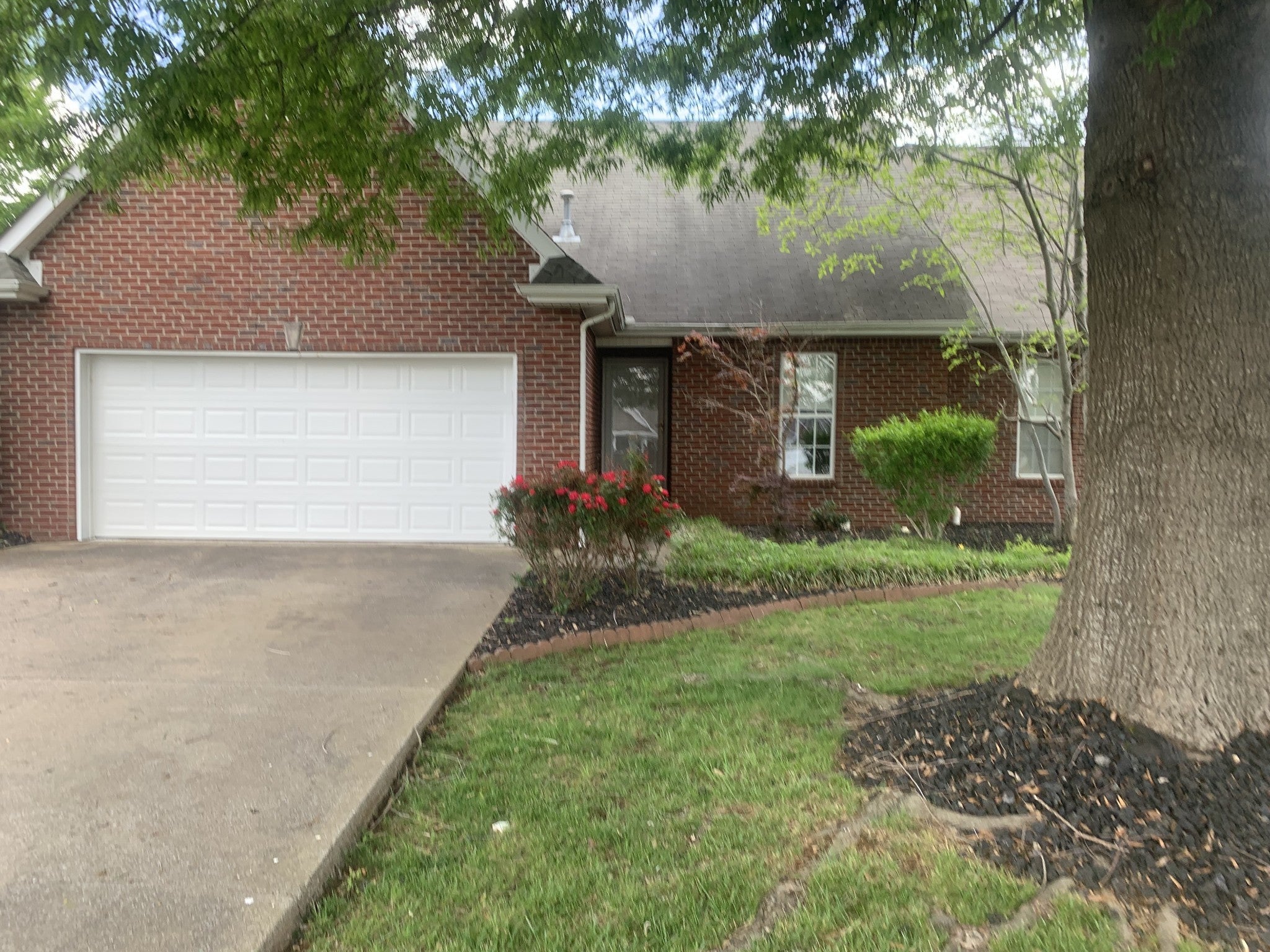 Photo of Listing #2941418