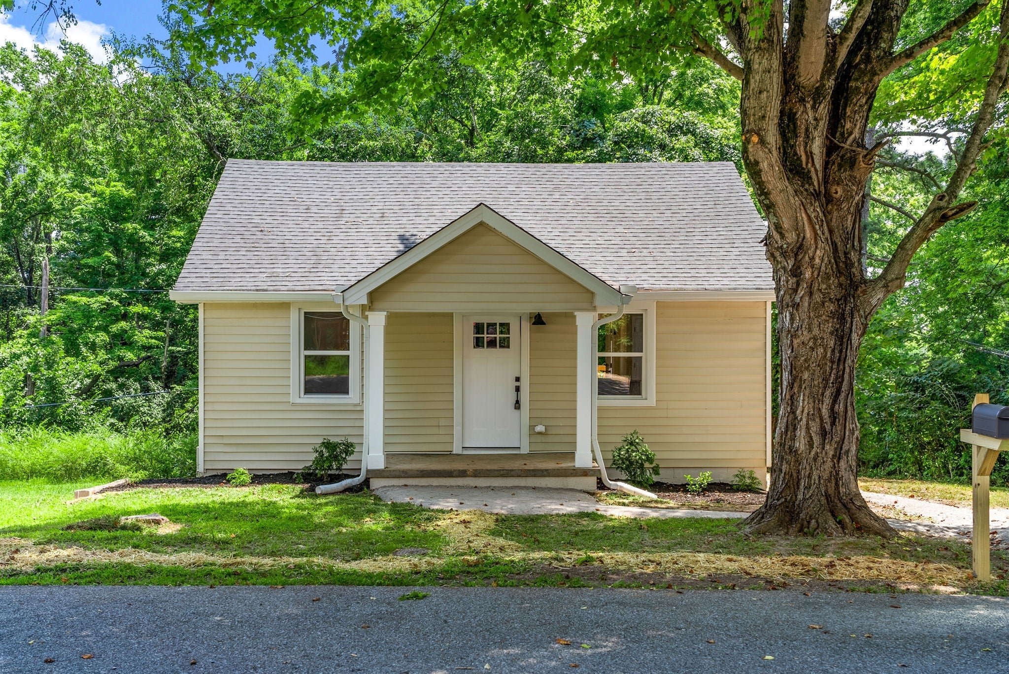 Photo of Listing #2942793