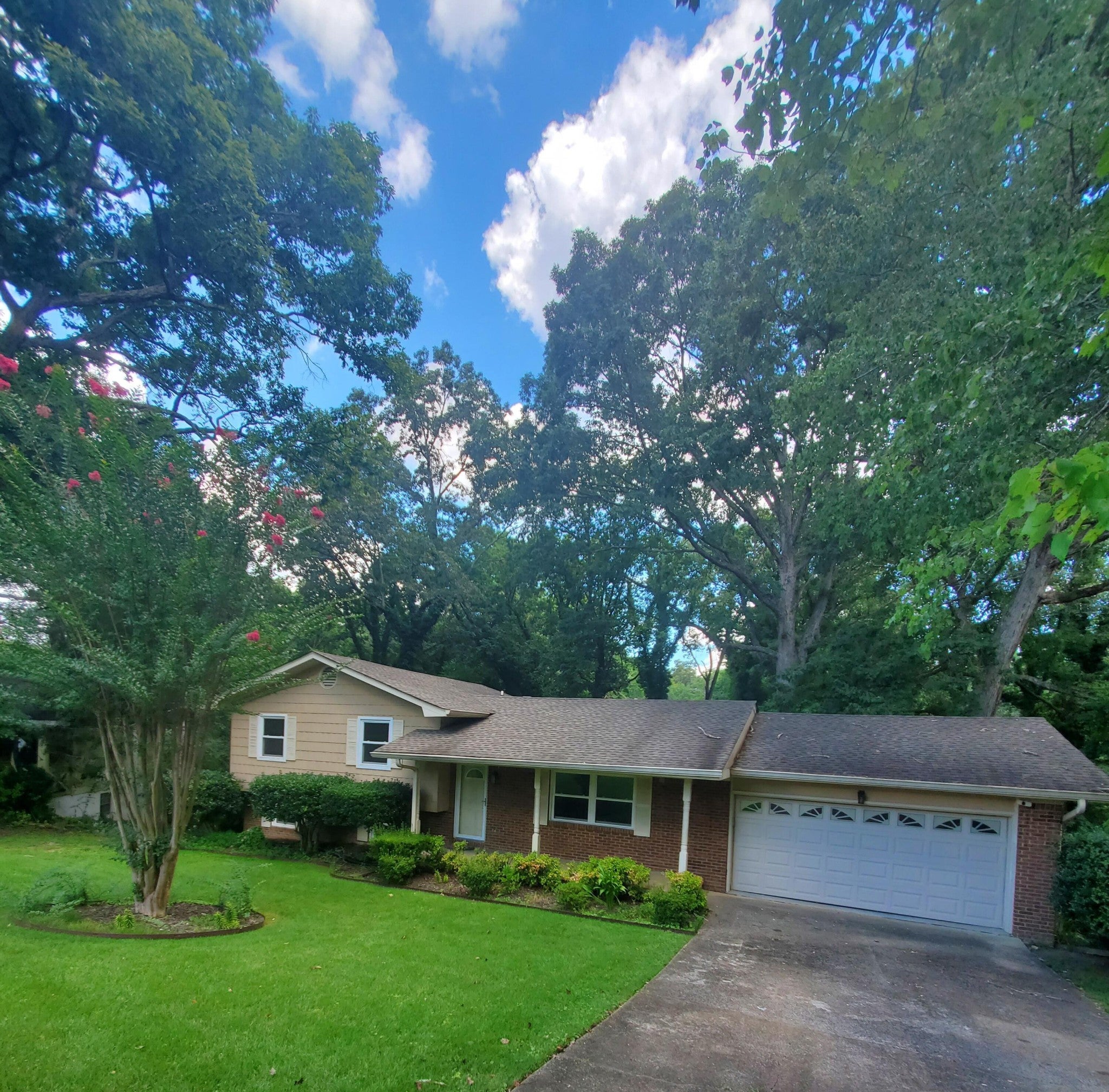 Photo of Listing #2944607