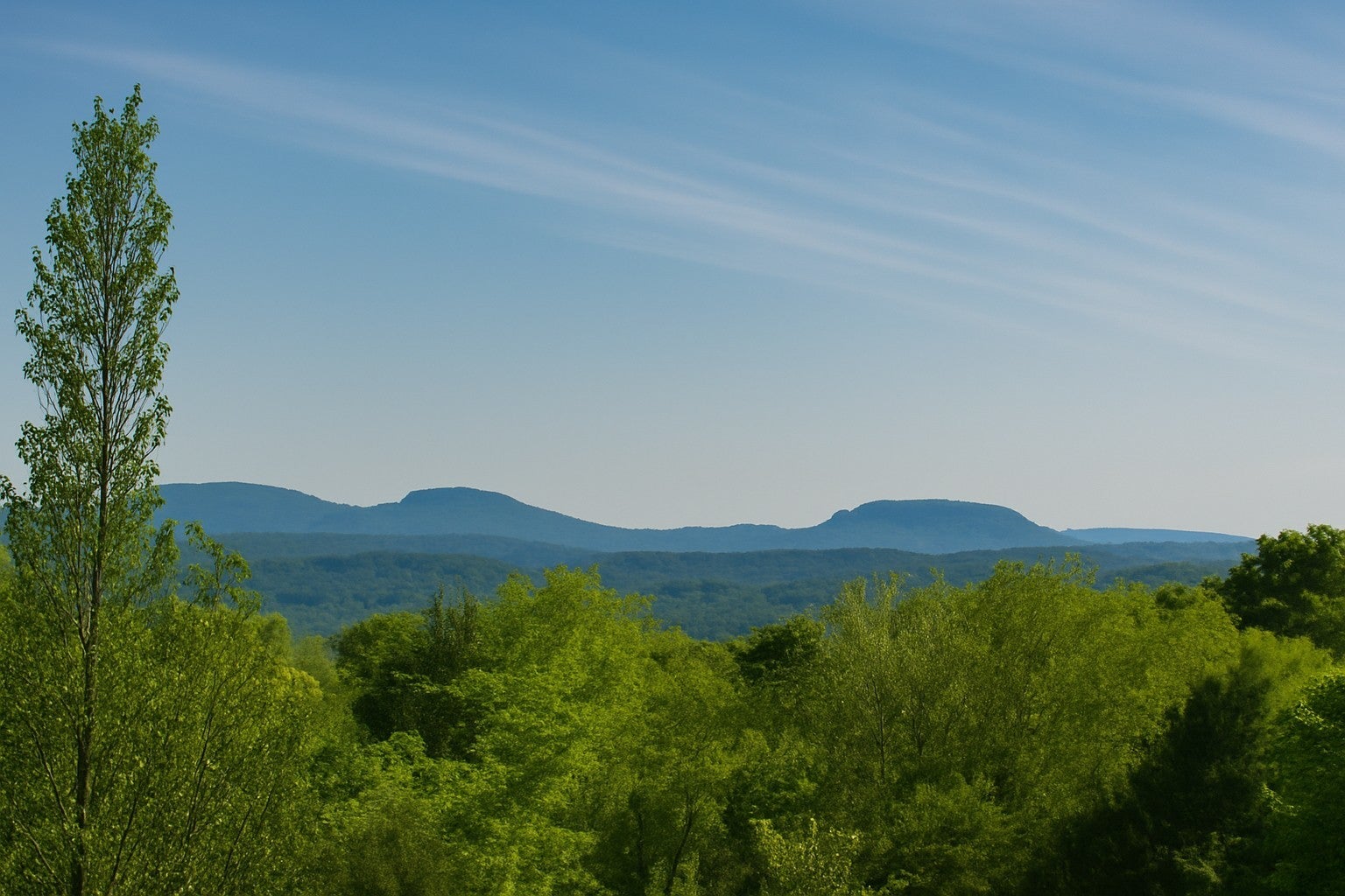 Photo of Listing #2945543