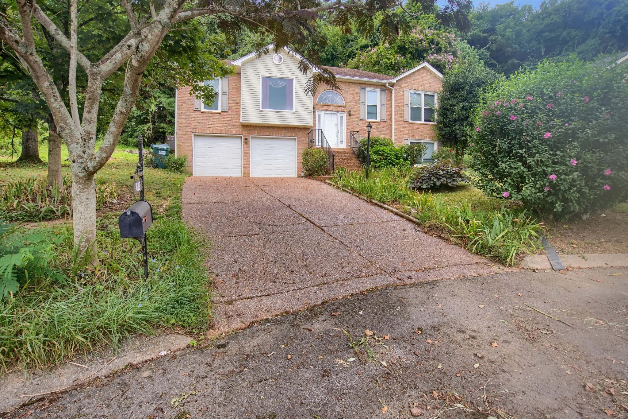 Photo of Listing #2946798