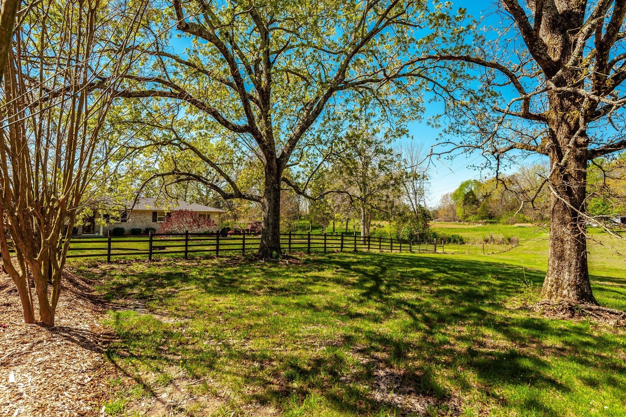 Photo of Listing #2950796