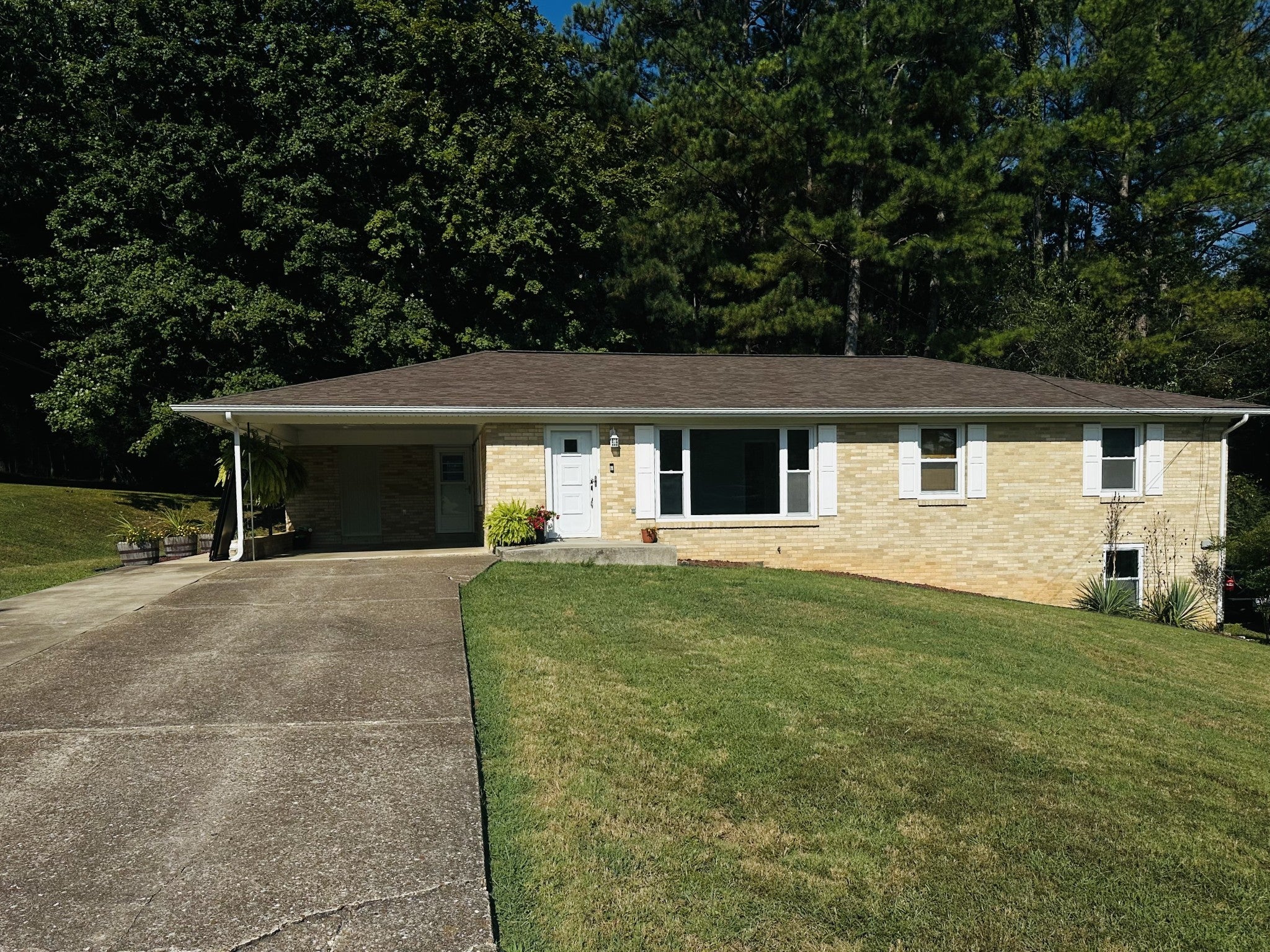 Photo of Listing #2957570