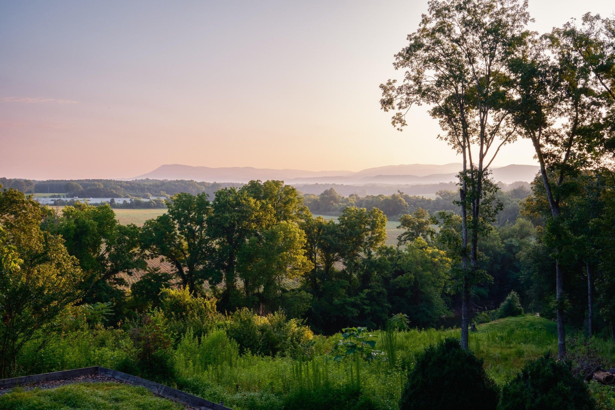 Photo of Listing #2958428