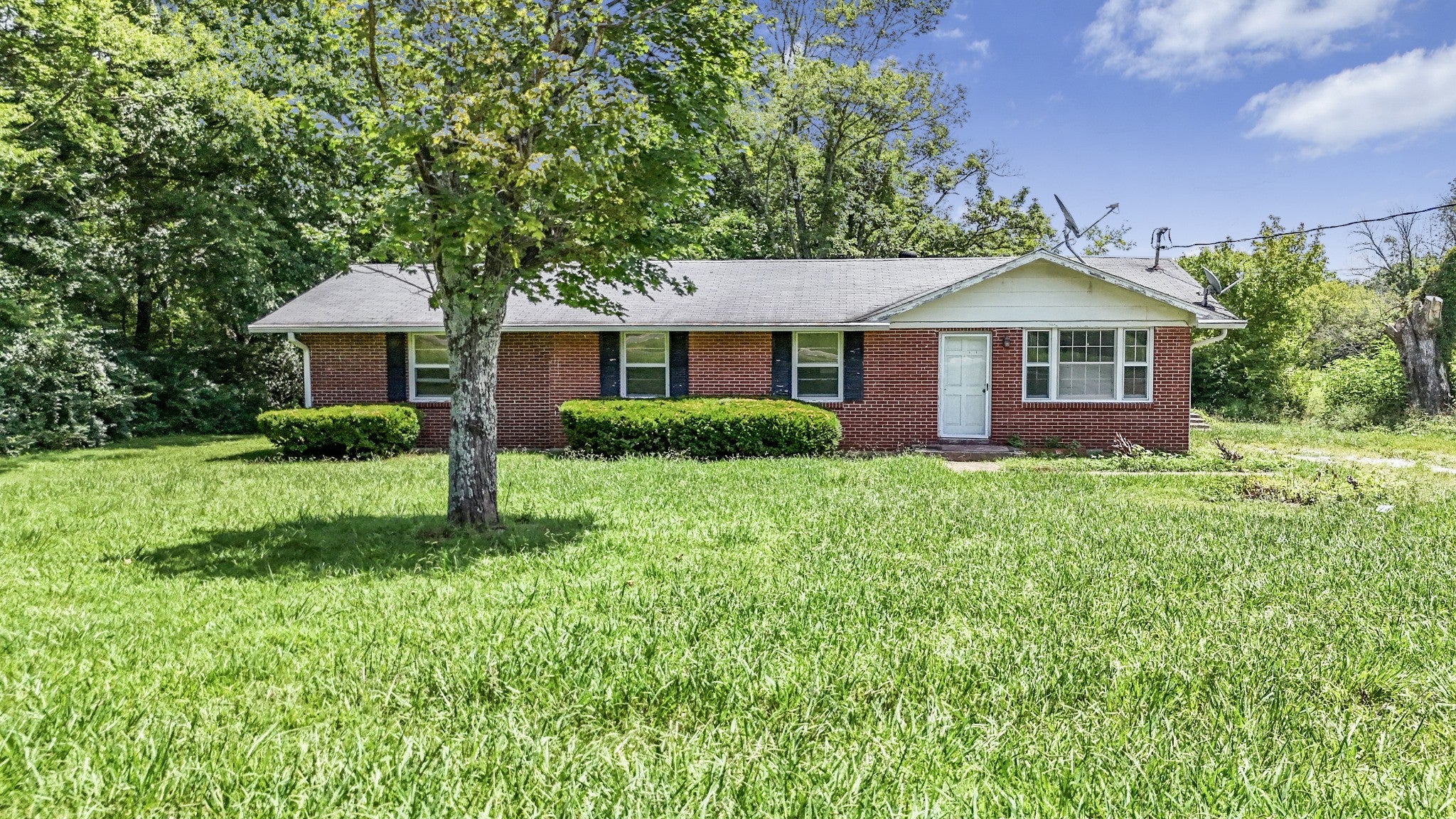 Photo of Listing #2971945