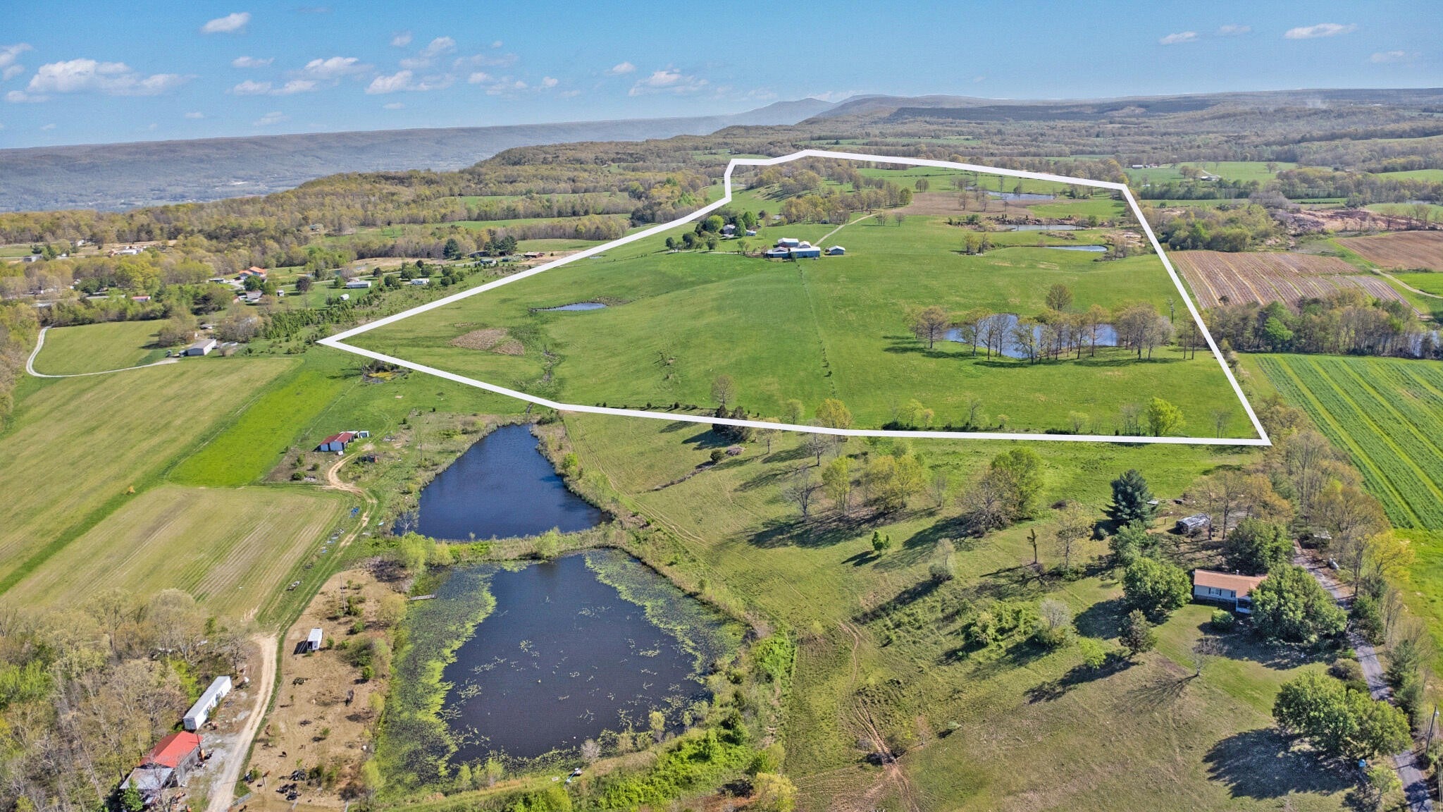 Photo of Listing #2972606