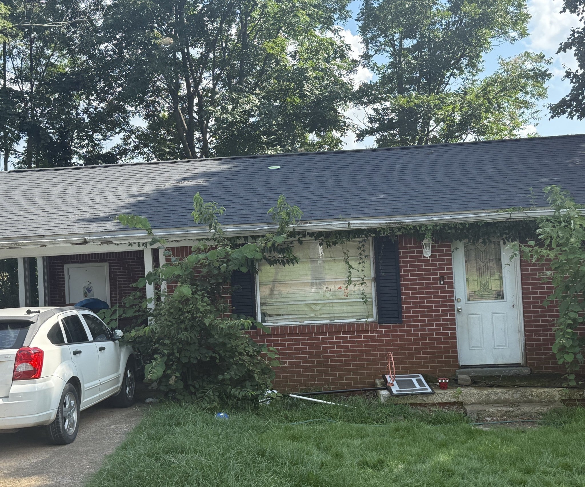 Photo of Listing #2972962