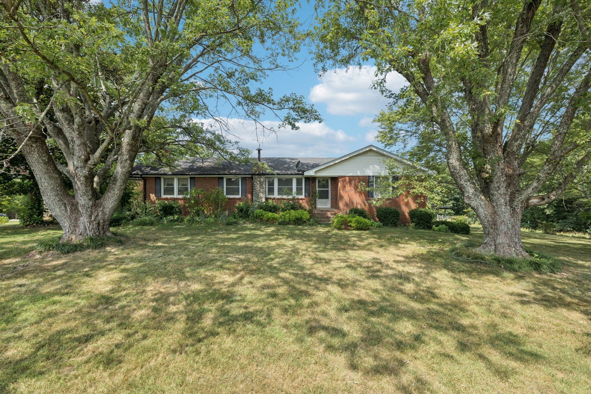Photo of Listing #2973253