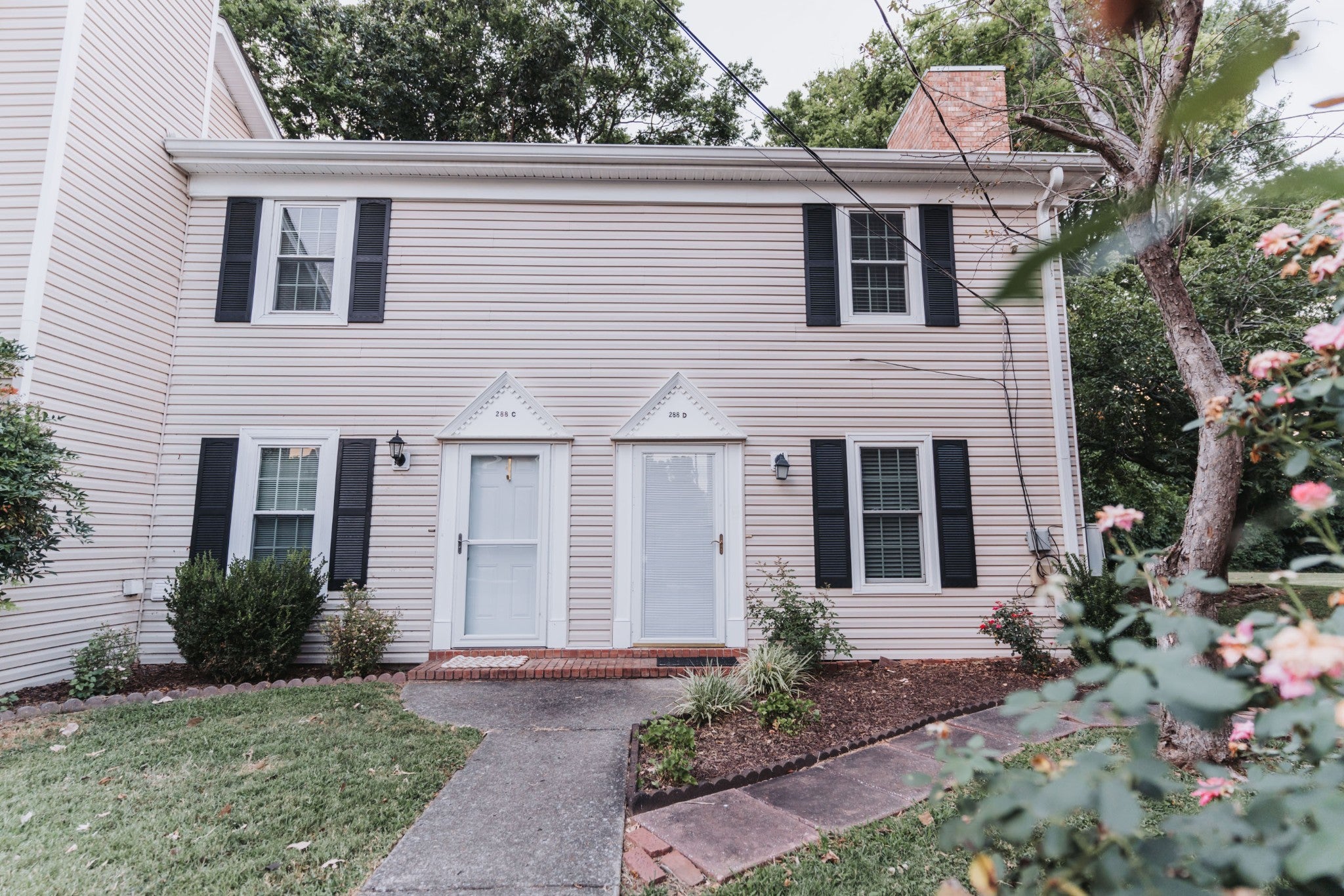 Photo of Listing #2973370