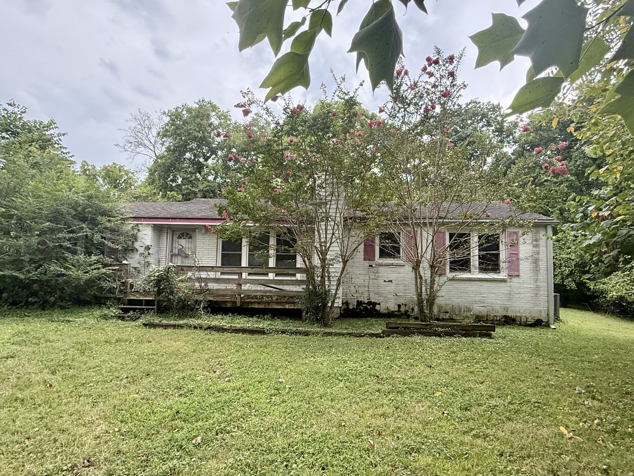 Photo of Listing #2974325