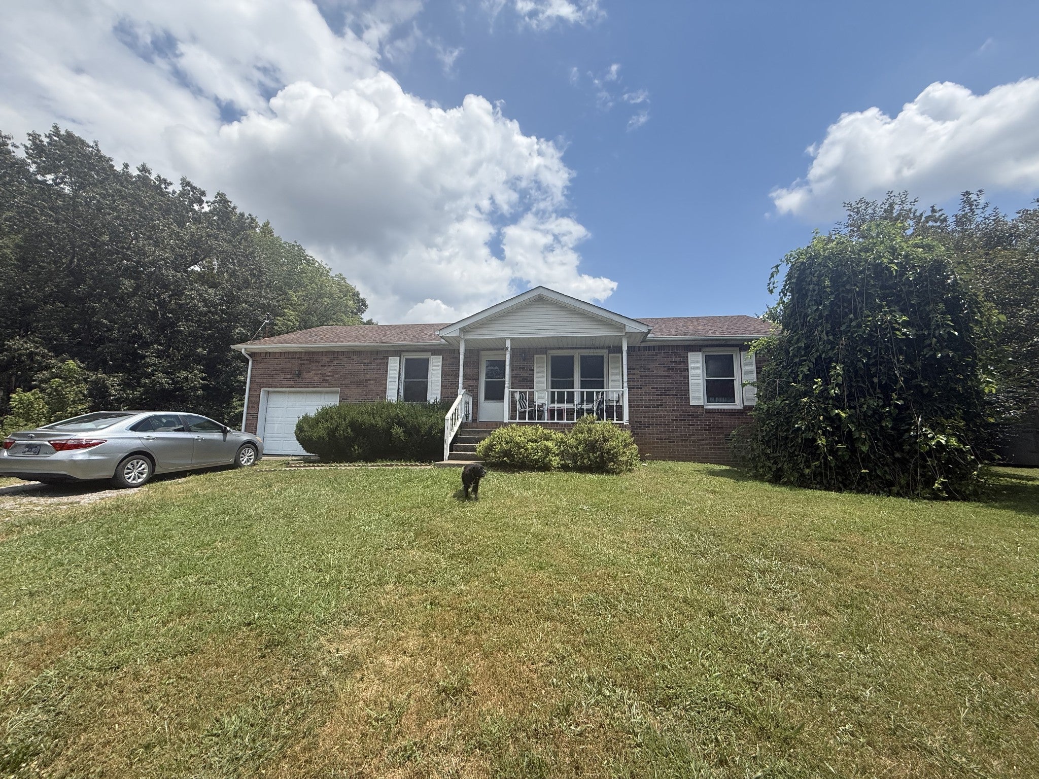 Photo of Listing #2976998