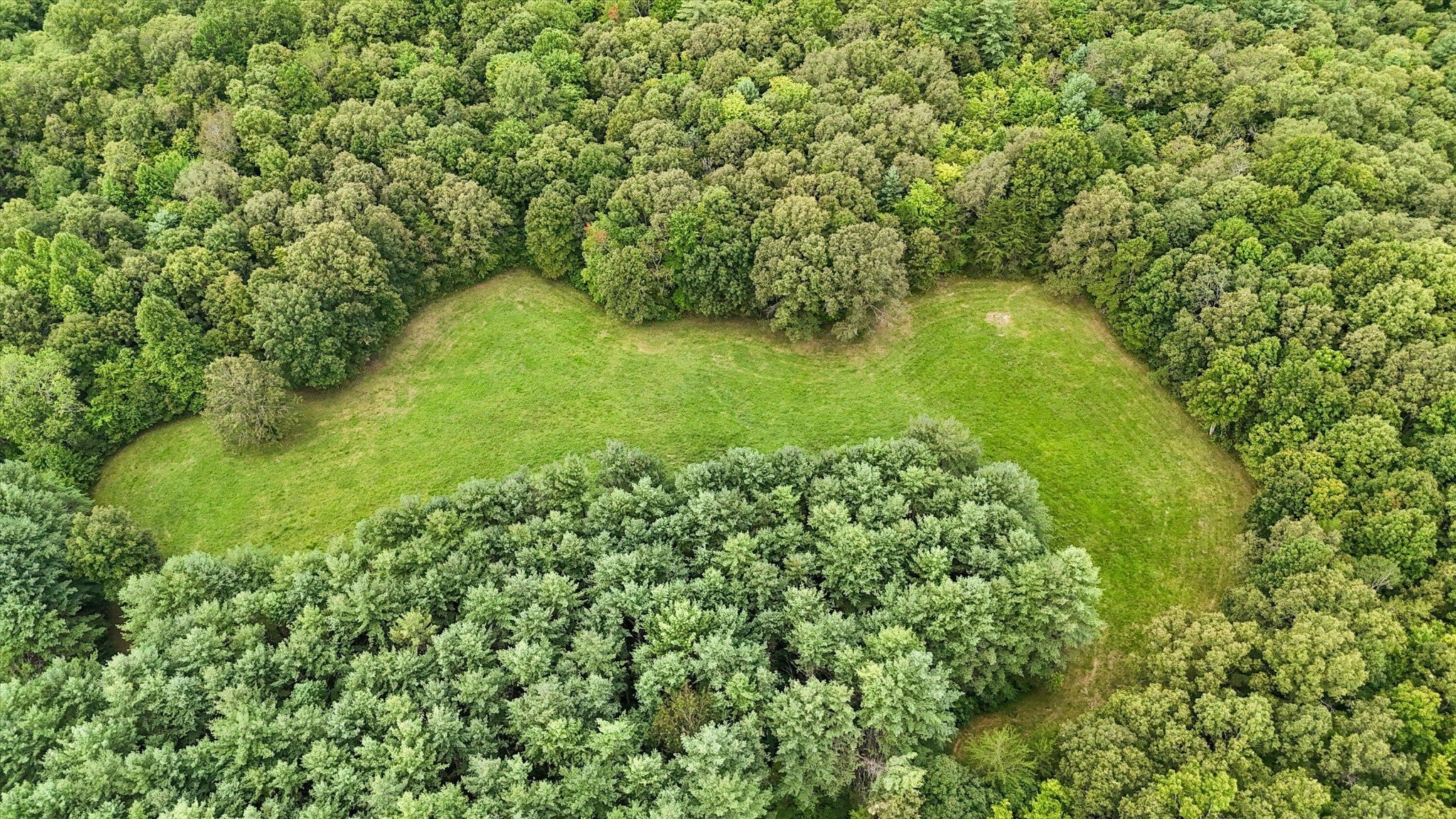 Photo of Listing #2978685